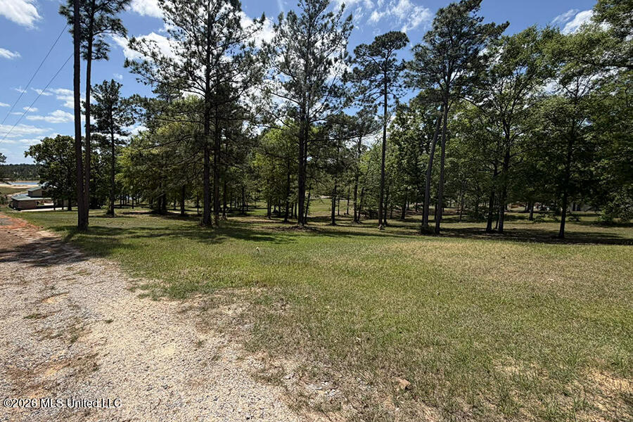 65 Mitchell Road Leakesville, MS 39451 - Photo 60 of 66 8 (6)