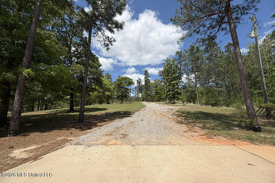65 Mitchell Road Leakesville, MS 39451 - Photo 61 of 66 8 (7)