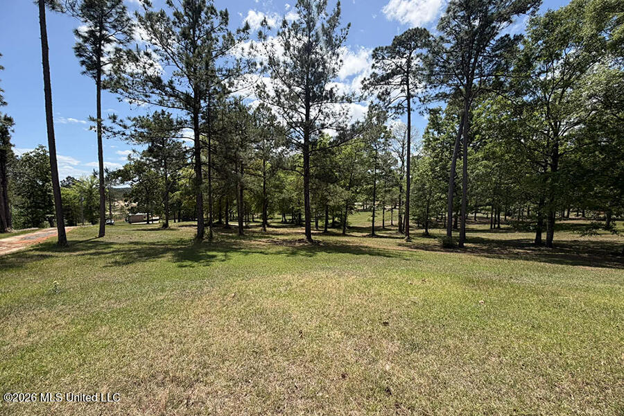65 Mitchell Road Leakesville, MS 39451 - Photo 62 of 66 8 (8)