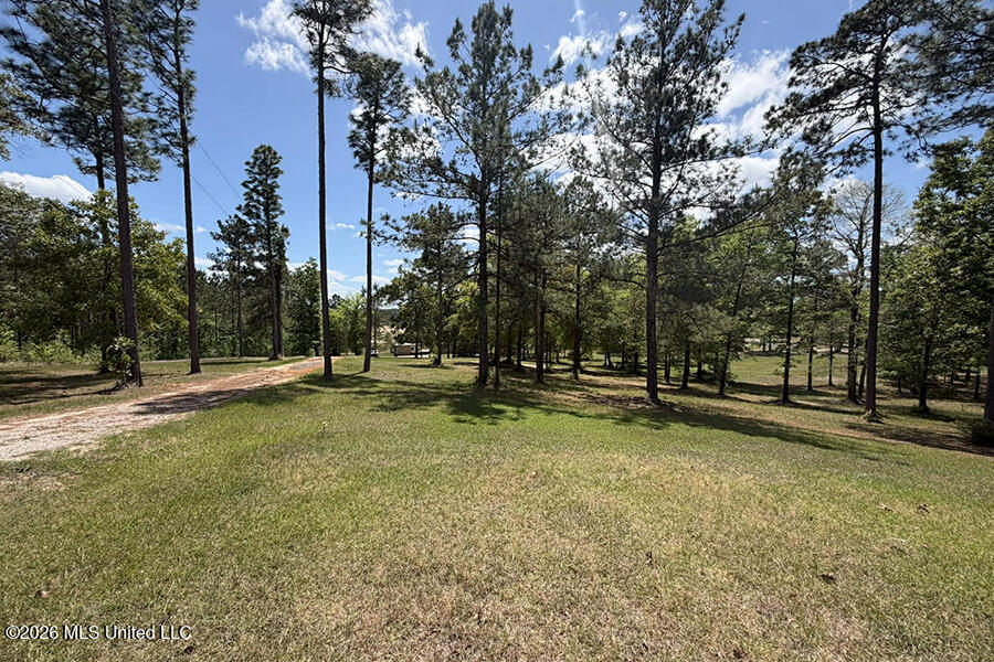 65 Mitchell Road Leakesville, MS 39451 - Photo 63 of 66 8 (9)