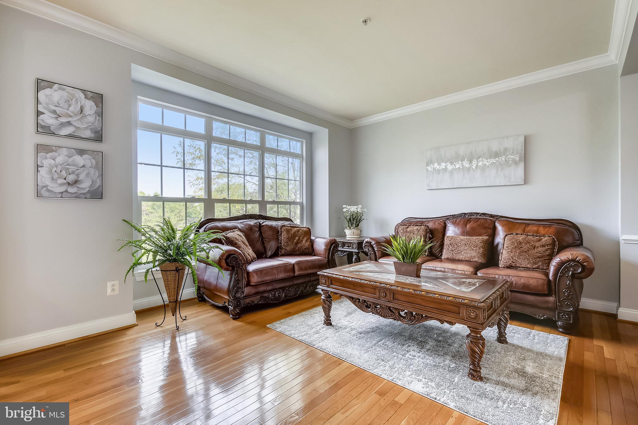 Huge Formal Living Room Overlooking Large Park