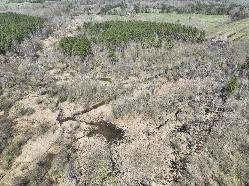 0 Hopewell Road Cohutta, GA 30710 - Photo 7 of 14 Gallery Image 7