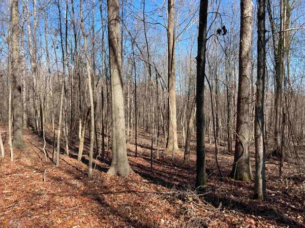 $405,000 | 0 Farmers Academy Road, Carnesville, GA 30557