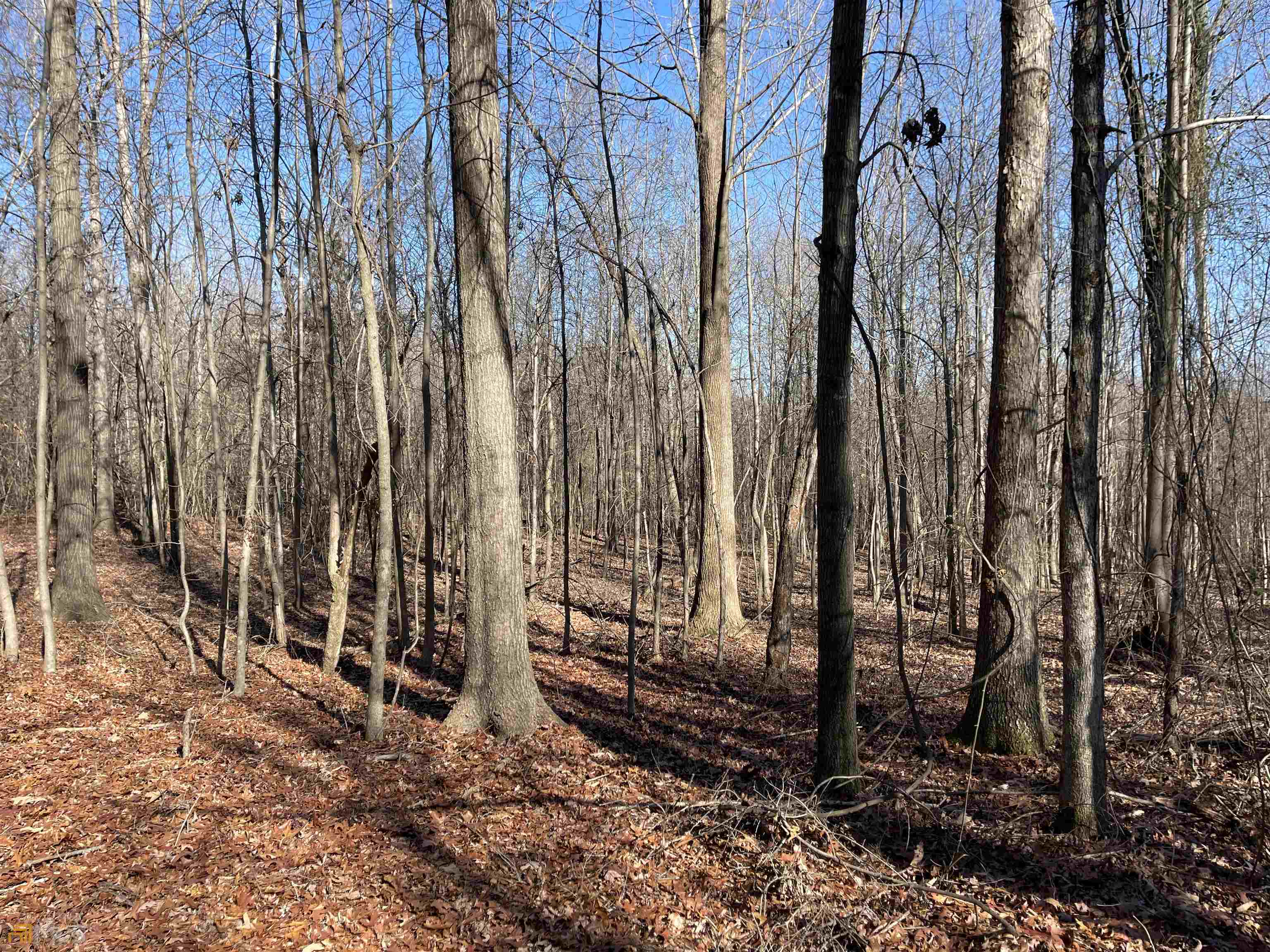 0 Farmers Academy Road Carnesville, GA 30557 - Photo 1 of 23