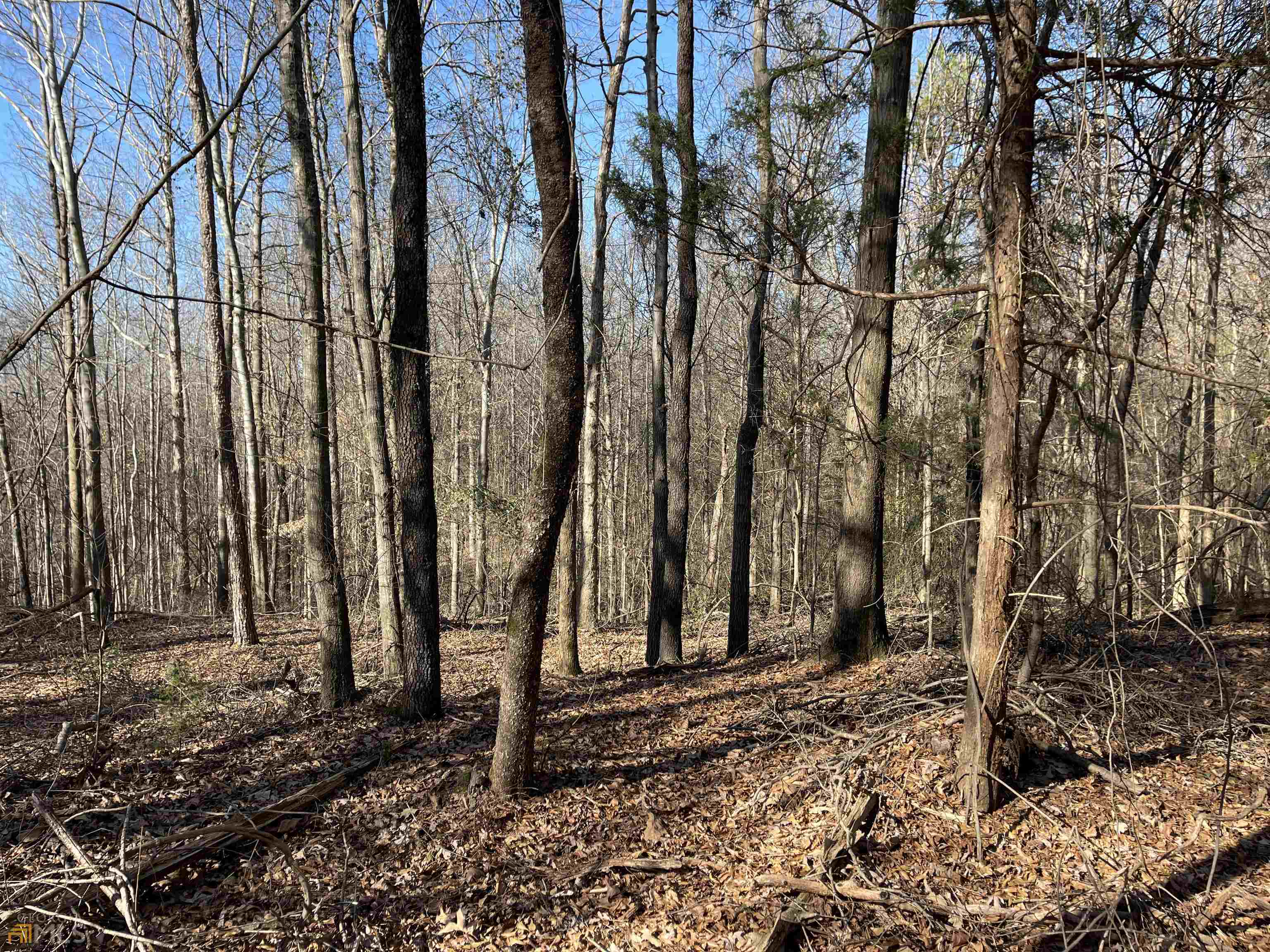 0 Farmers Academy Road Carnesville, GA 30557 - Photo 12 of 23