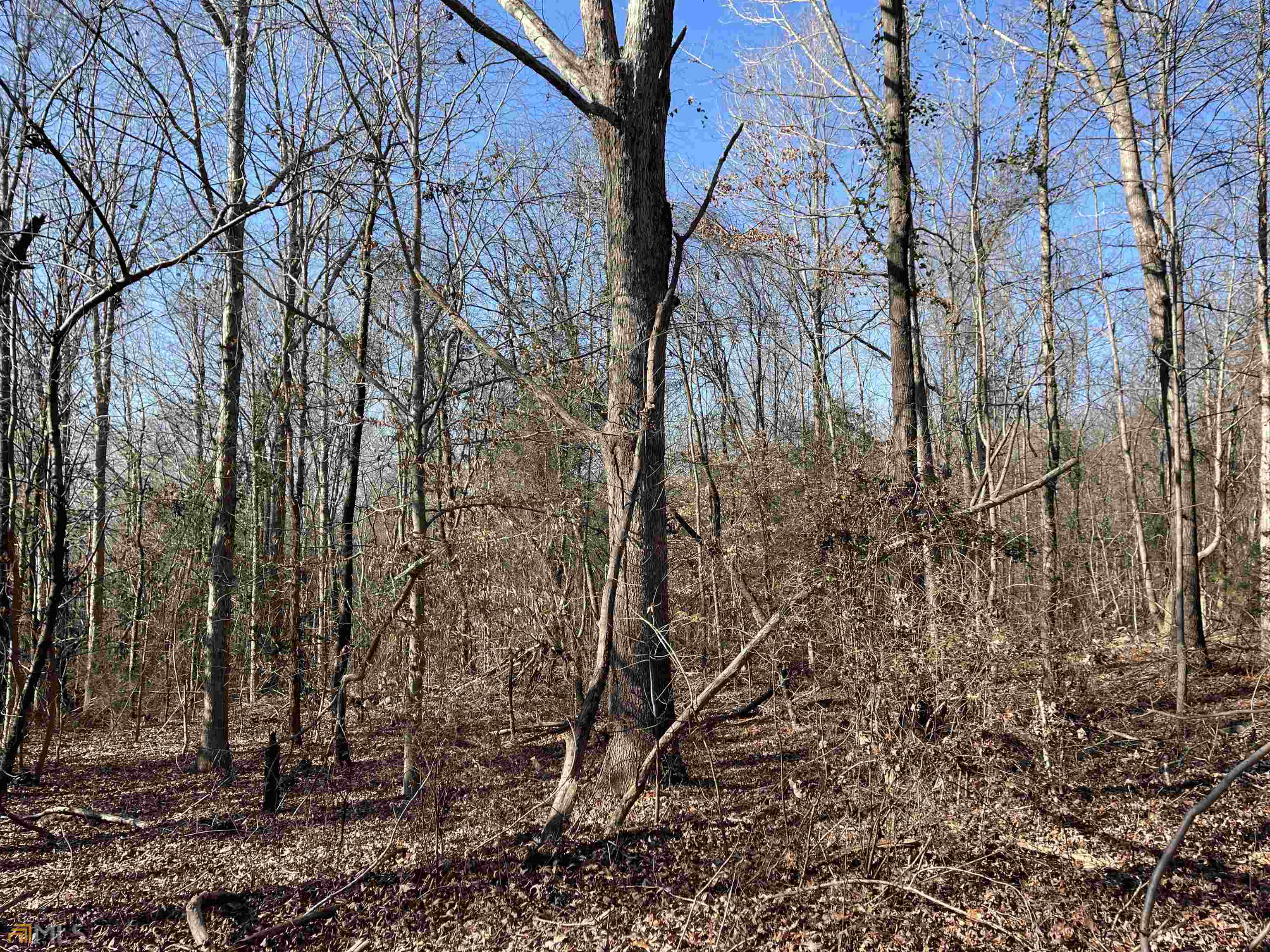 0 Farmers Academy Road Carnesville, GA 30557 - Photo 14 of 23