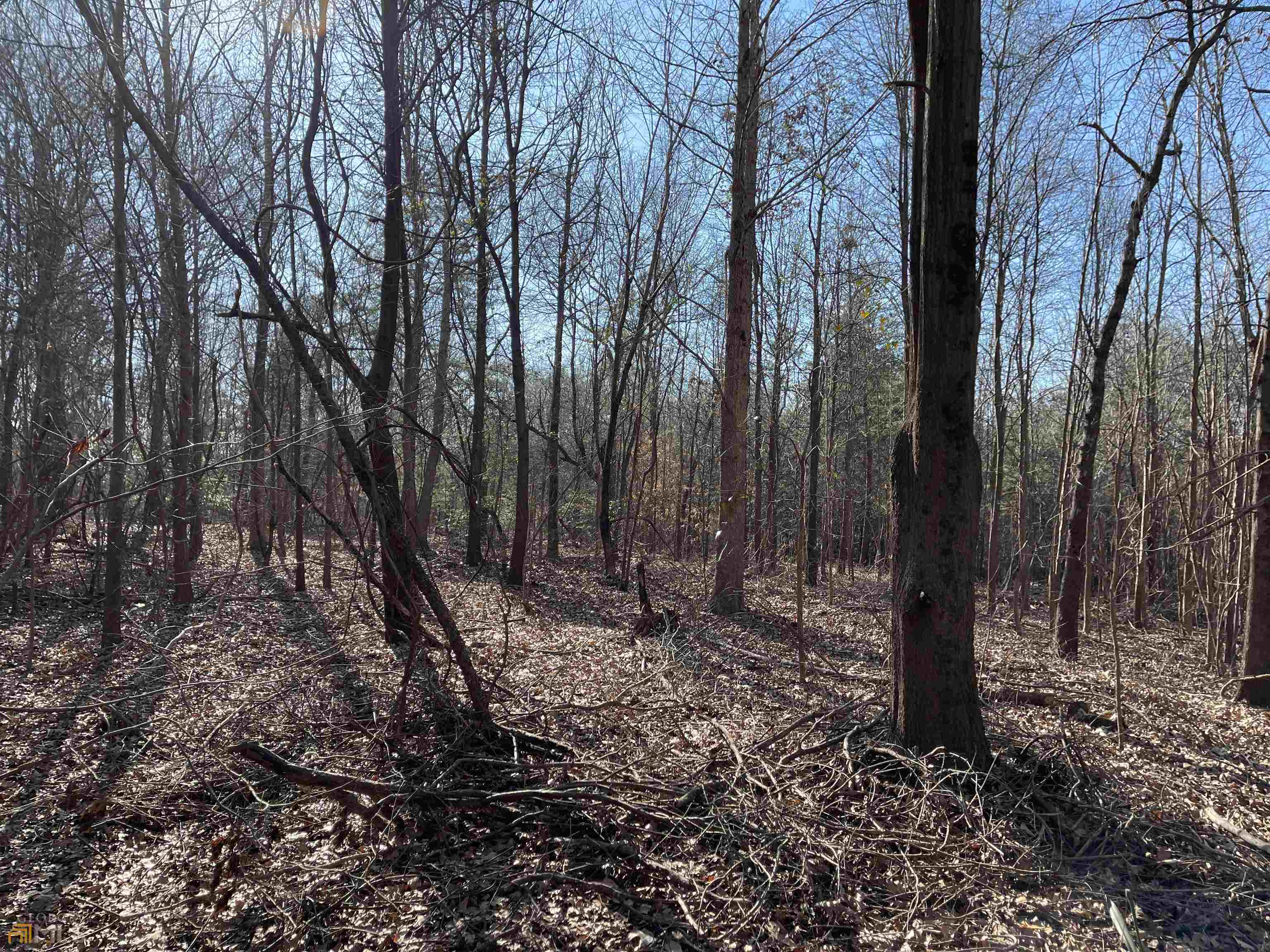 0 Farmers Academy Road Carnesville, GA 30557 - Photo 16 of 23