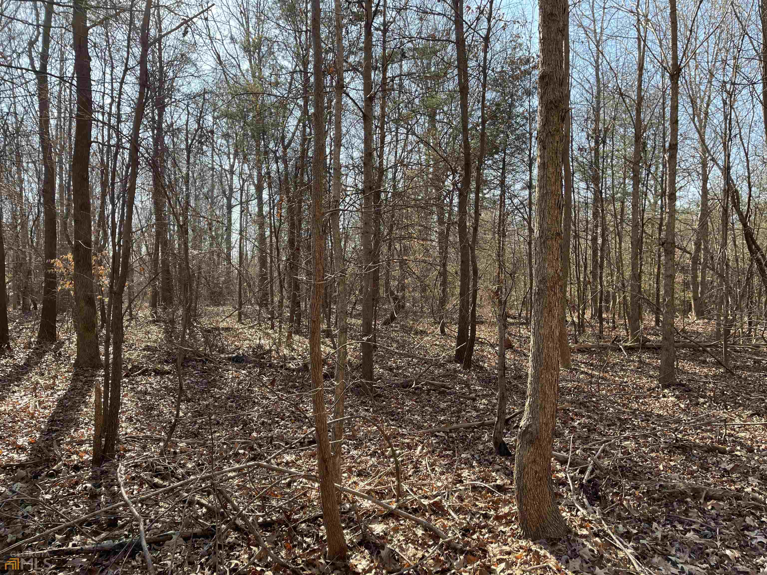 0 Farmers Academy Road Carnesville, GA 30557 - Photo 17 of 23