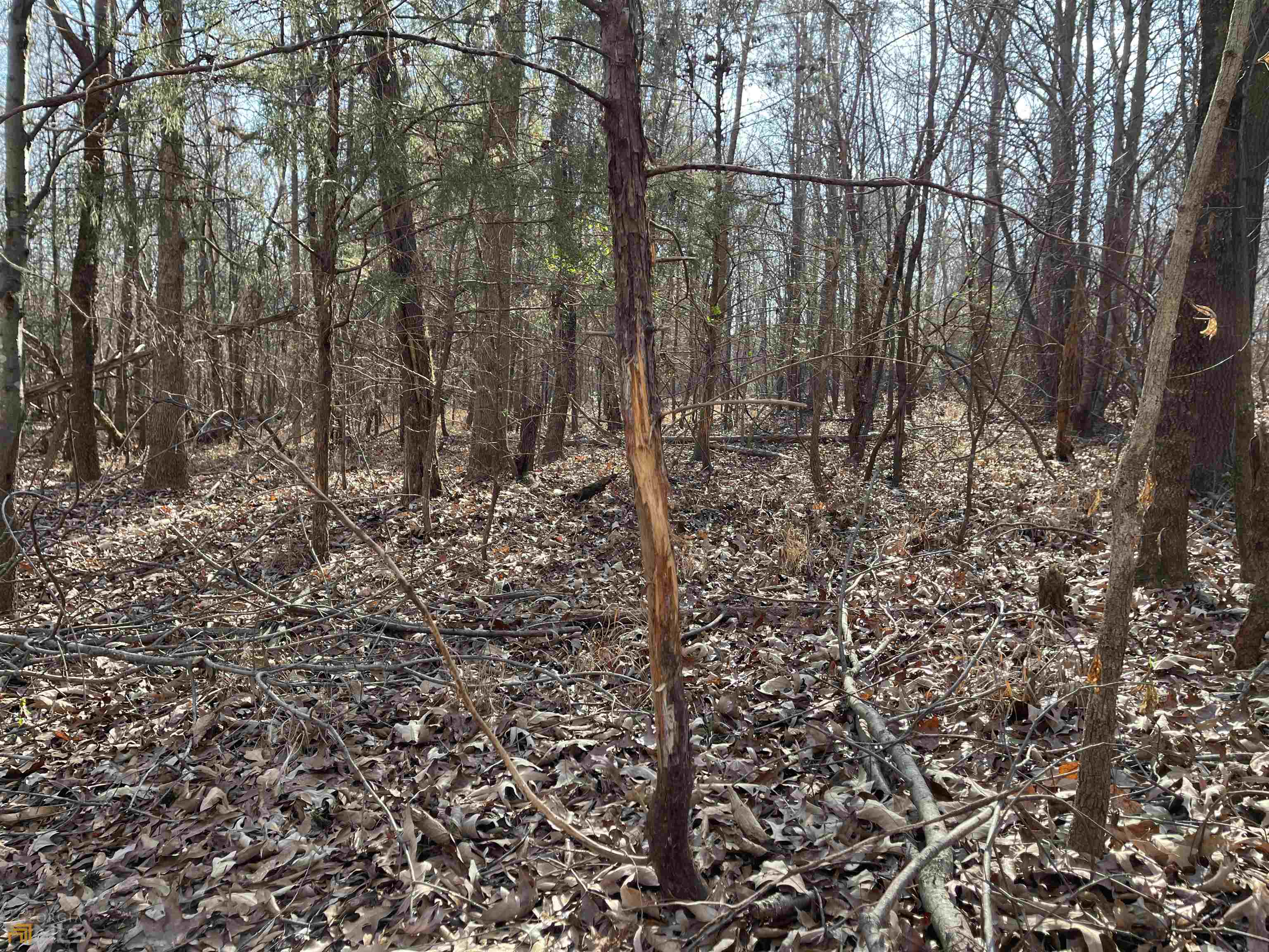 0 Farmers Academy Road Carnesville, GA 30557 - Photo 18 of 23