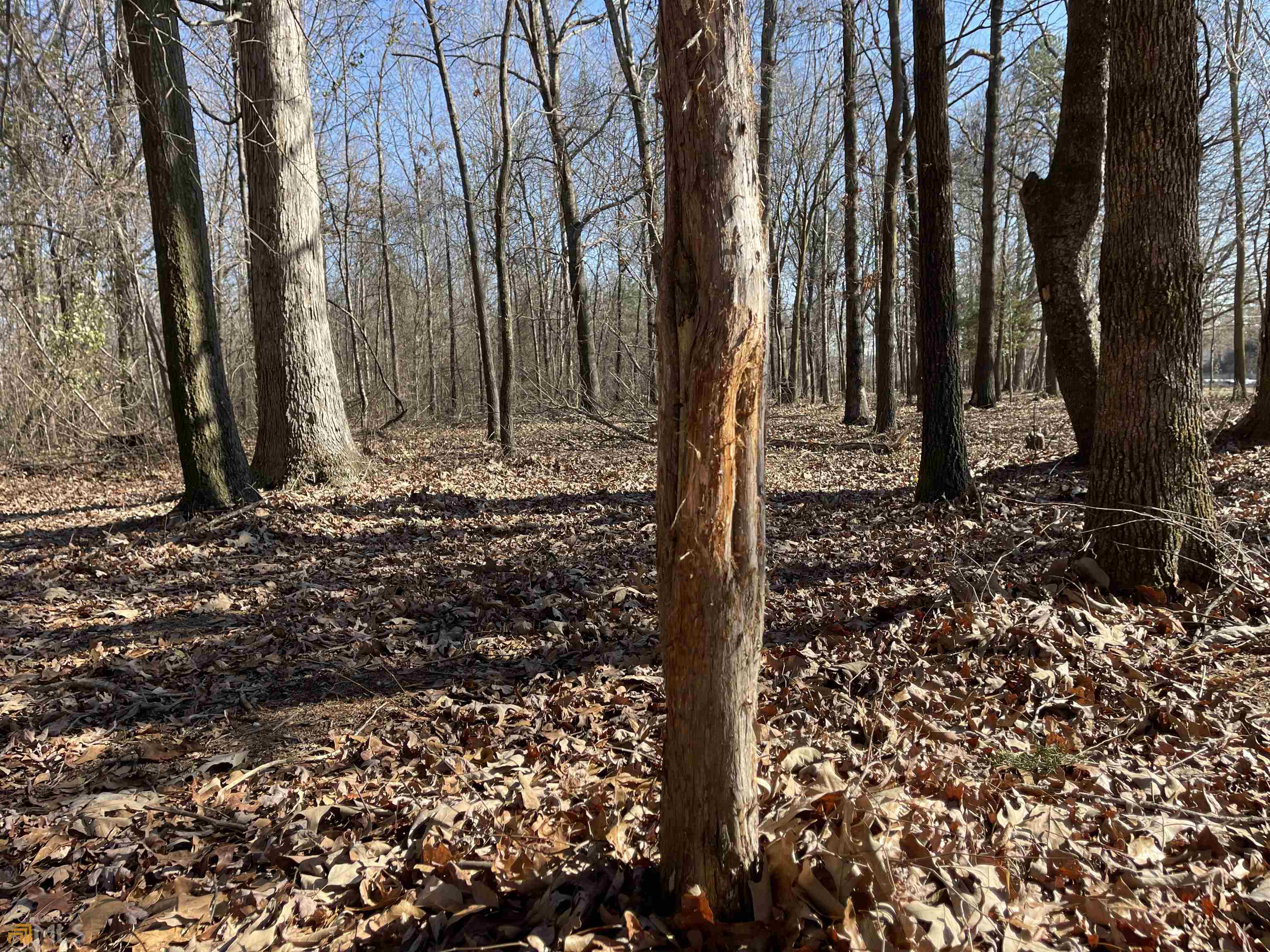 0 Farmers Academy Road Carnesville, GA 30557 - Photo 20 of 23