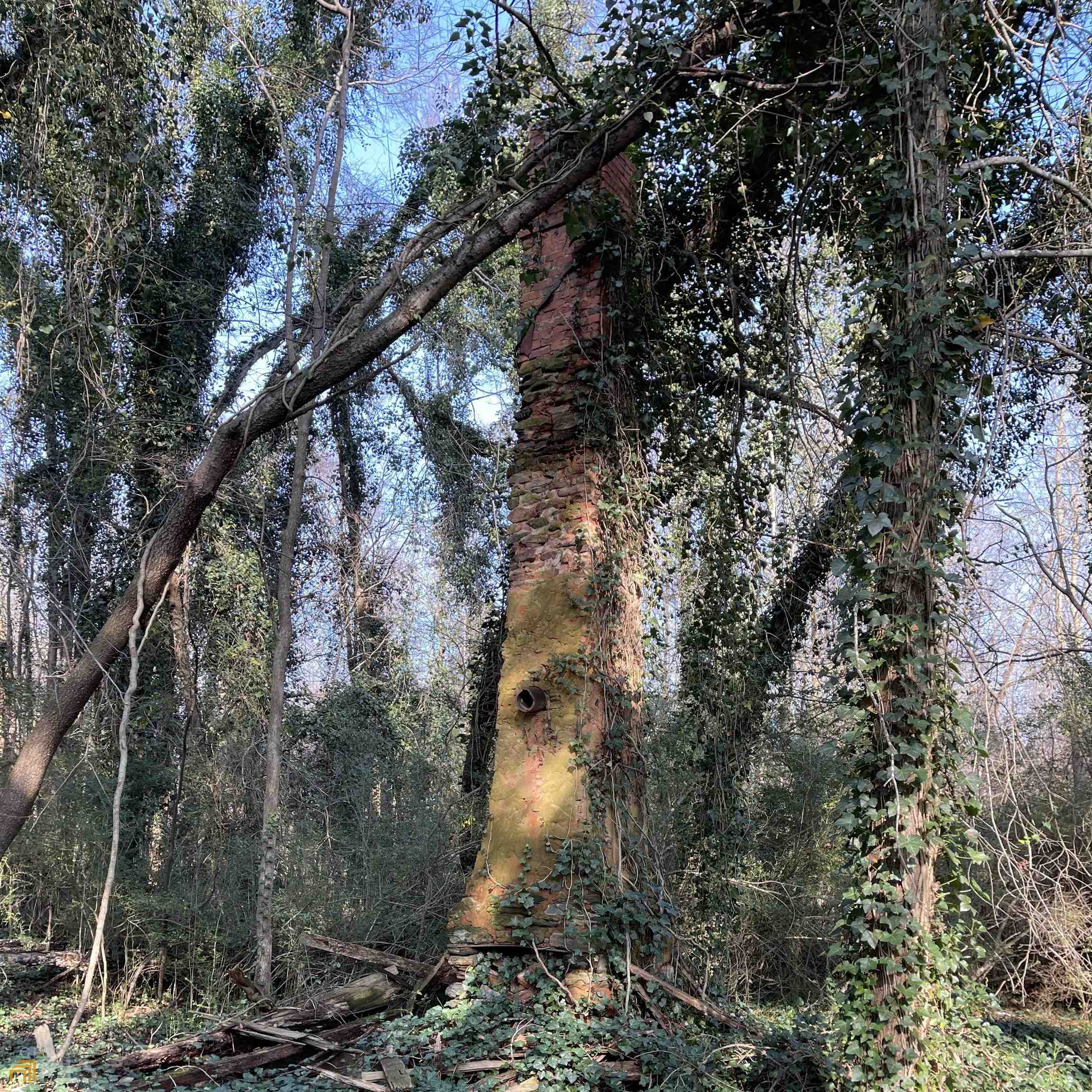 0 Farmers Academy Road Carnesville, GA 30557 - Photo 2 of 23