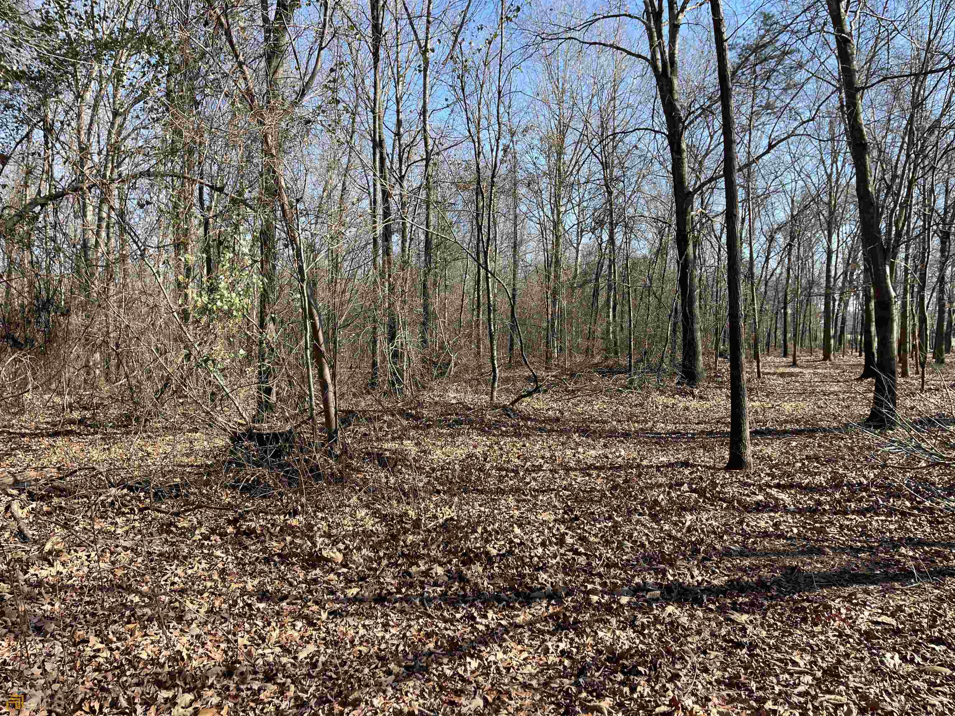 0 Farmers Academy Road Carnesville, GA 30557 - Photo 21 of 23