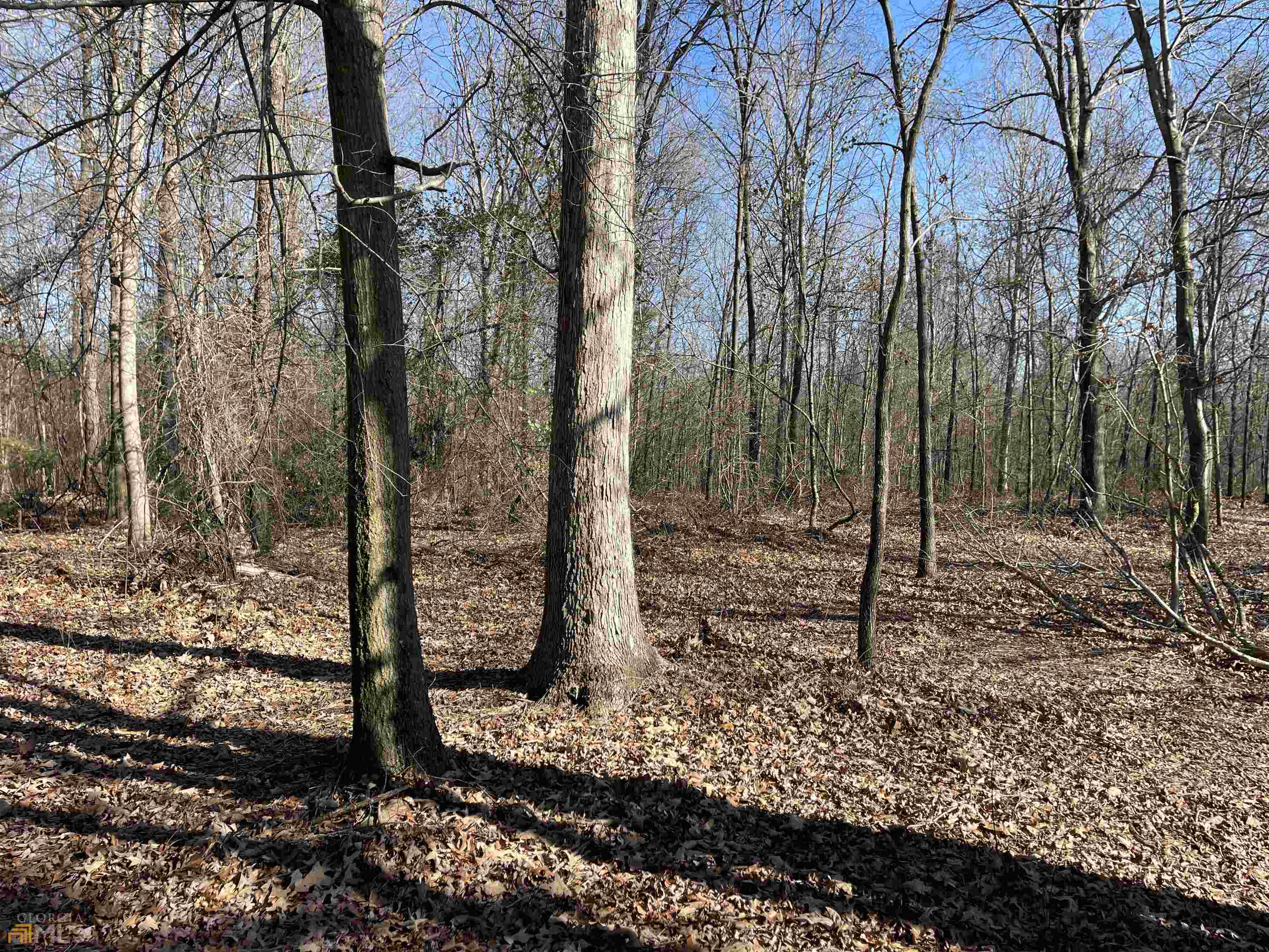 0 Farmers Academy Road Carnesville, GA 30557 - Photo 22 of 23