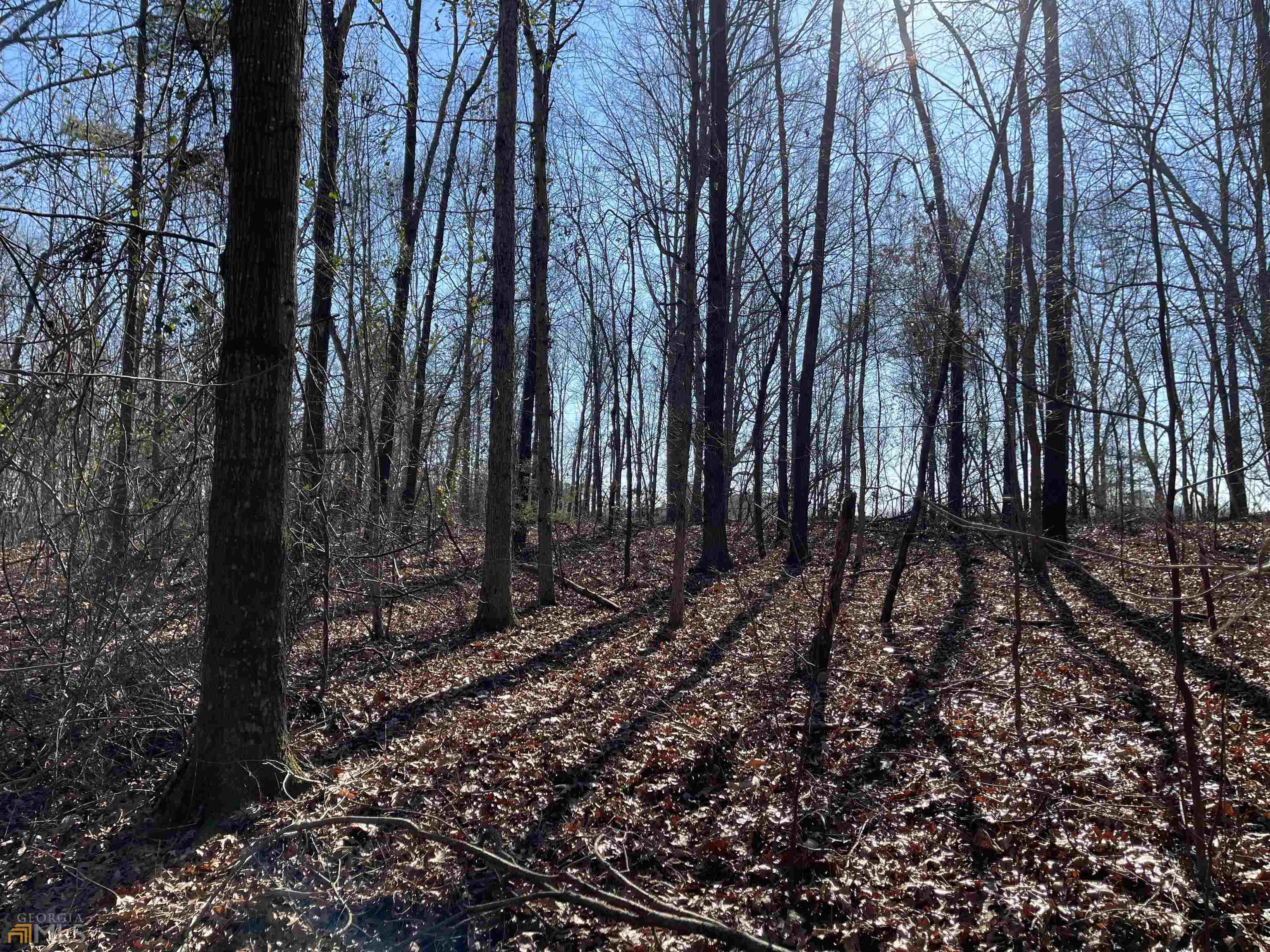 0 Farmers Academy Road Carnesville, GA 30557 - Photo 23 of 23