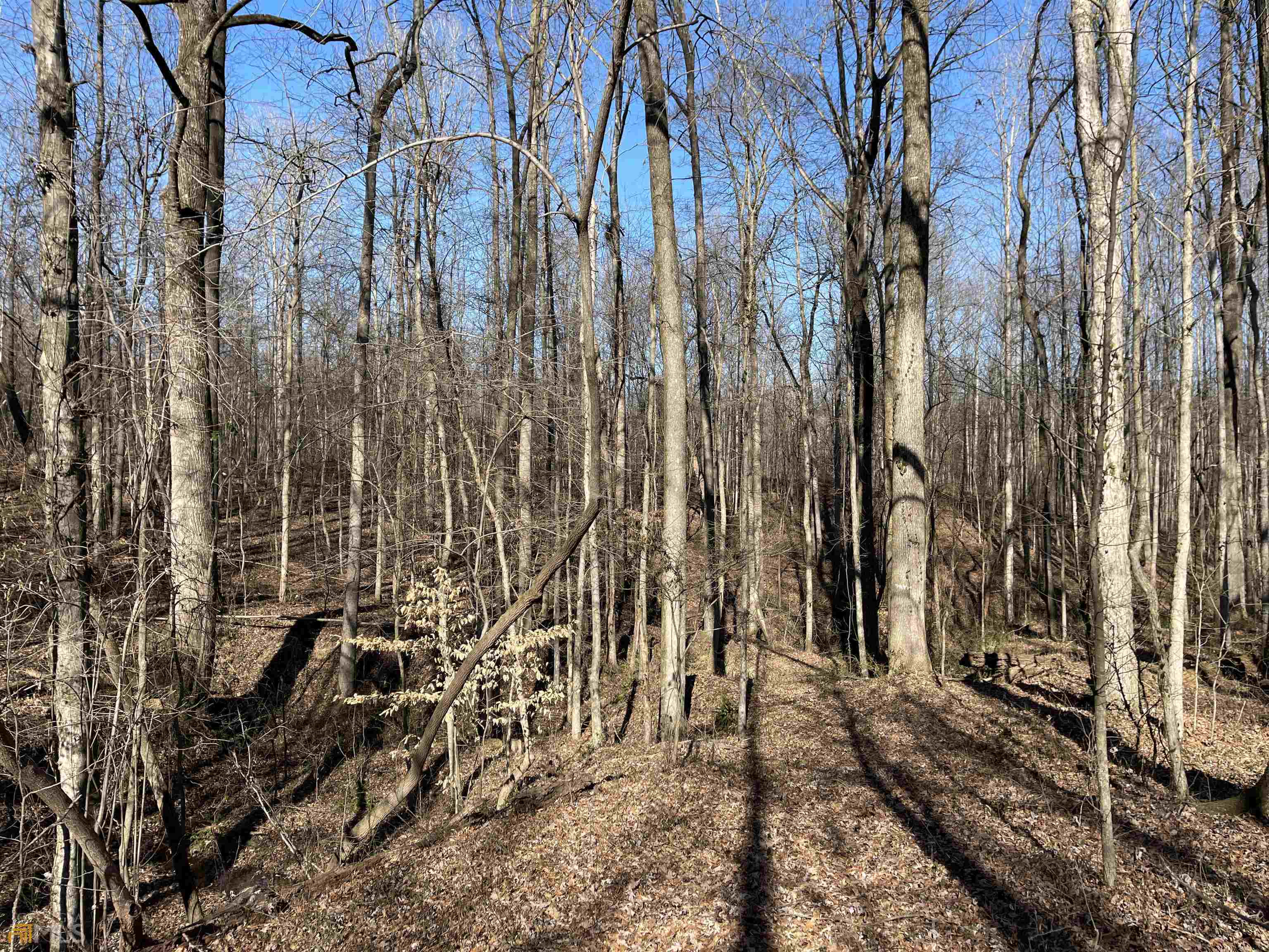 0 Farmers Academy Road Carnesville, GA 30557 - Photo 4 of 23