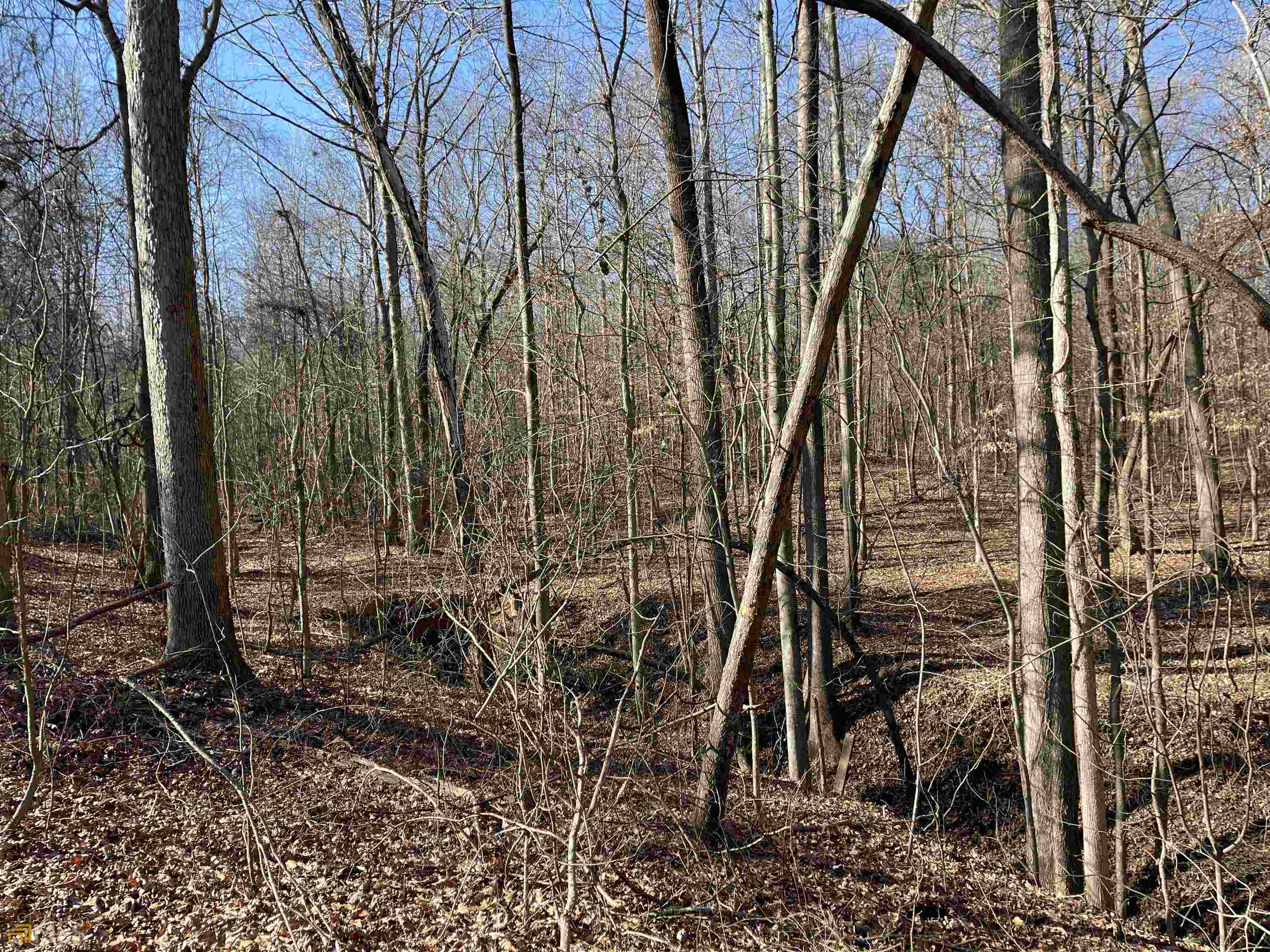 0 Farmers Academy Road Carnesville, GA 30557 - Photo 5 of 23