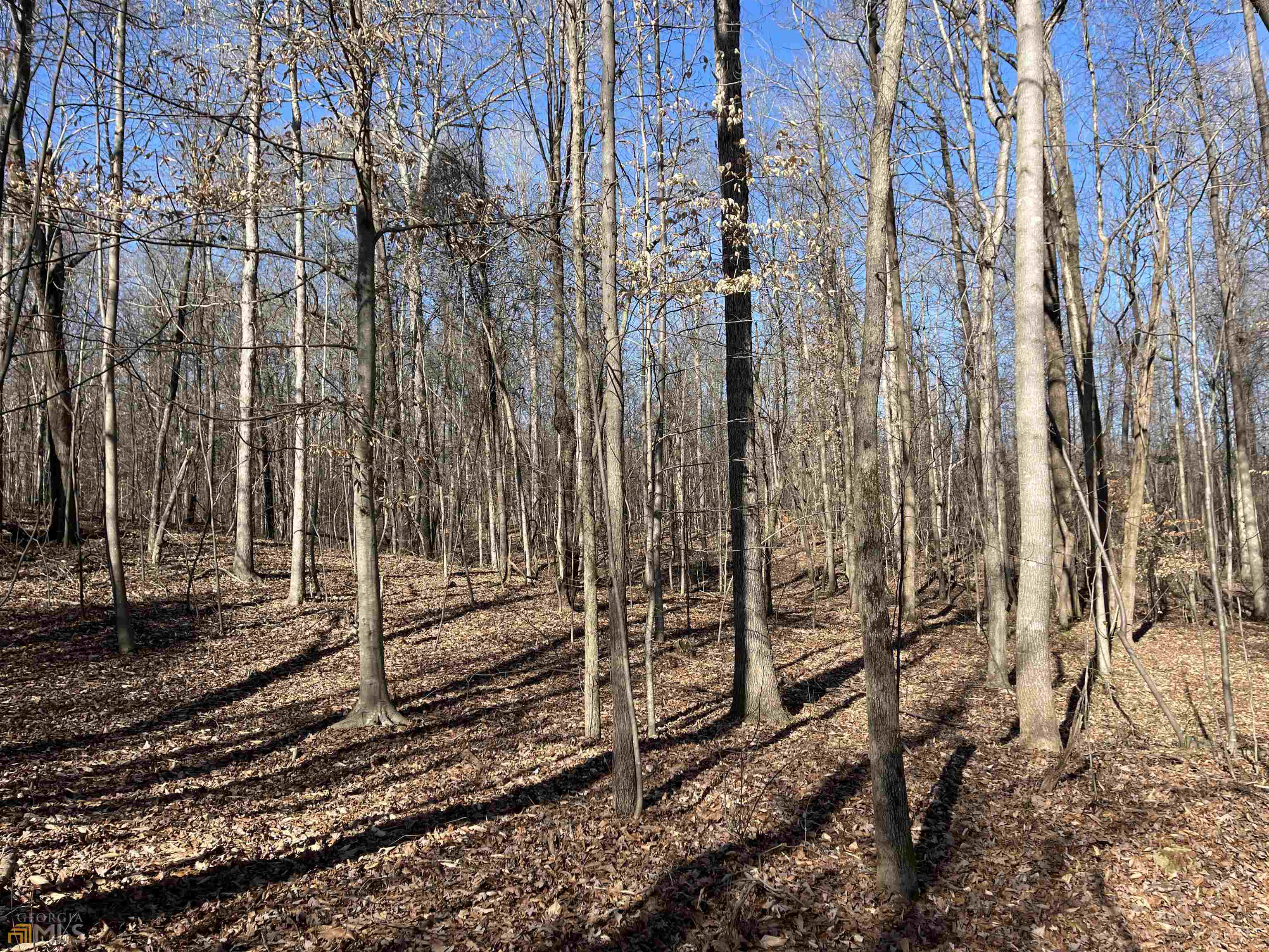 0 Farmers Academy Road Carnesville, GA 30557 - Photo 6 of 23