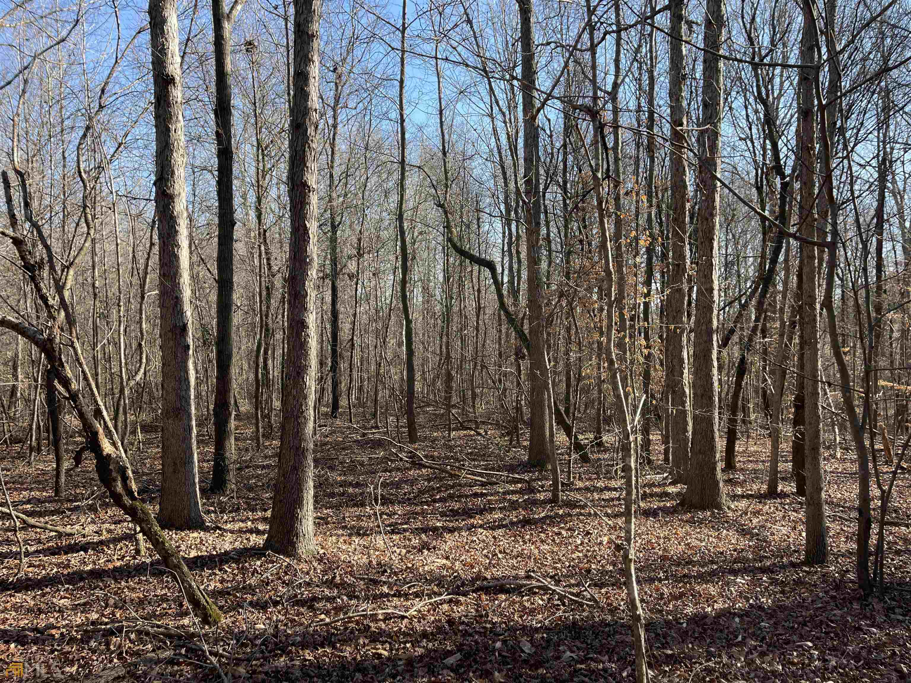 0 Farmers Academy Road Carnesville, GA 30557 - Photo 8 of 23