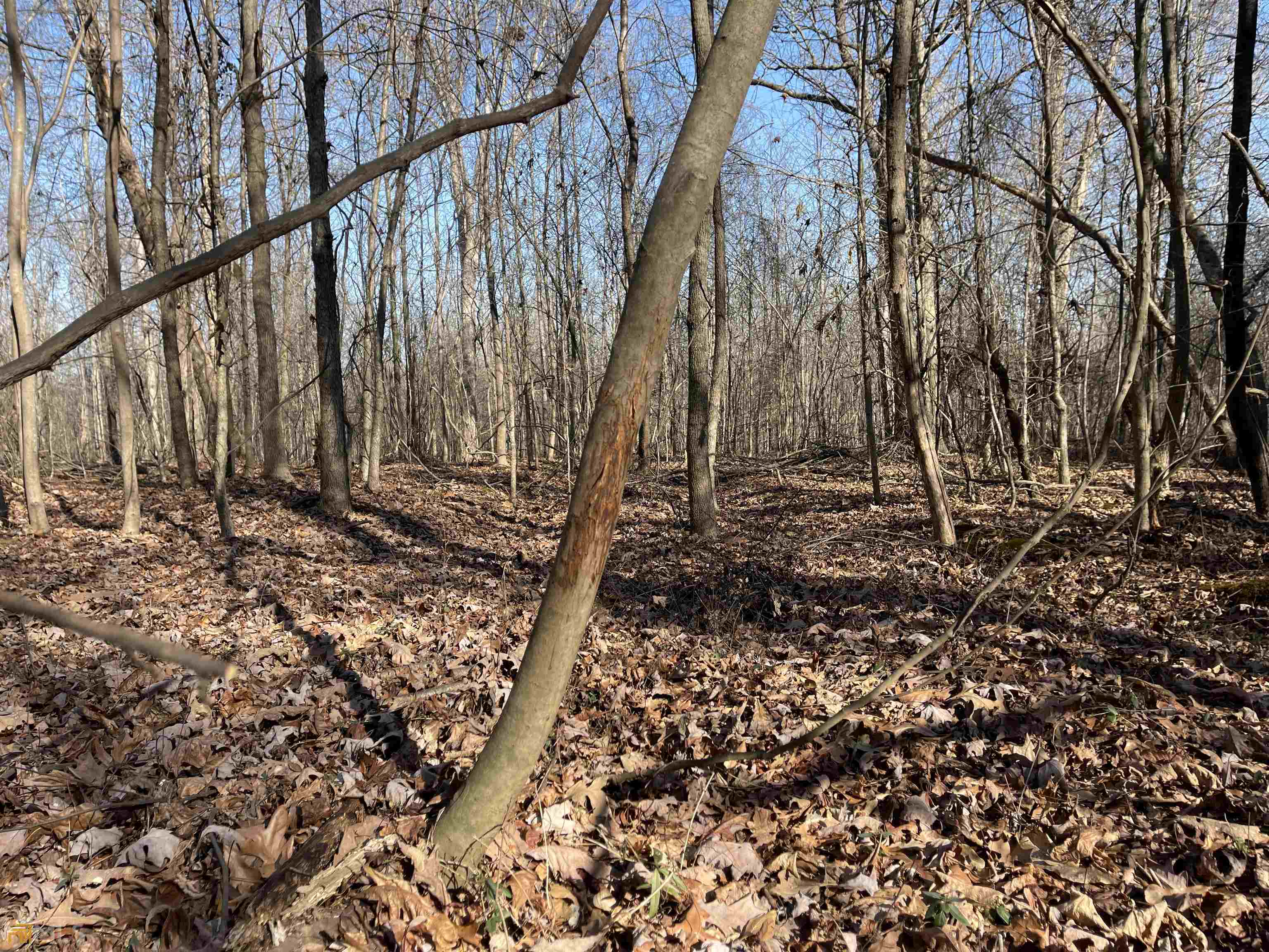 0 Farmers Academy Road Carnesville, GA 30557 - Photo 9 of 23