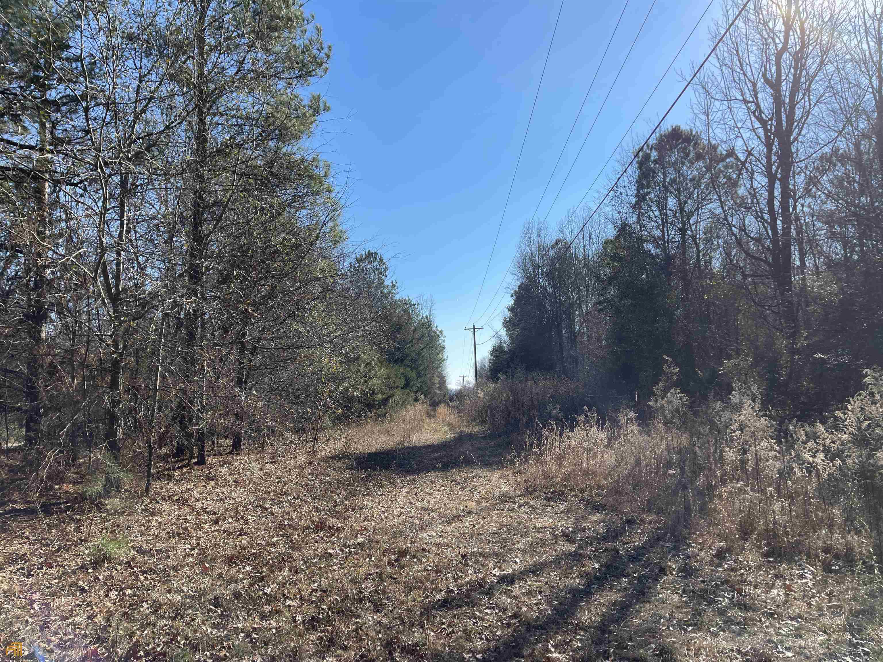 0 Farmers Academy Road Carnesville, GA 30557 - Photo 10 of 23