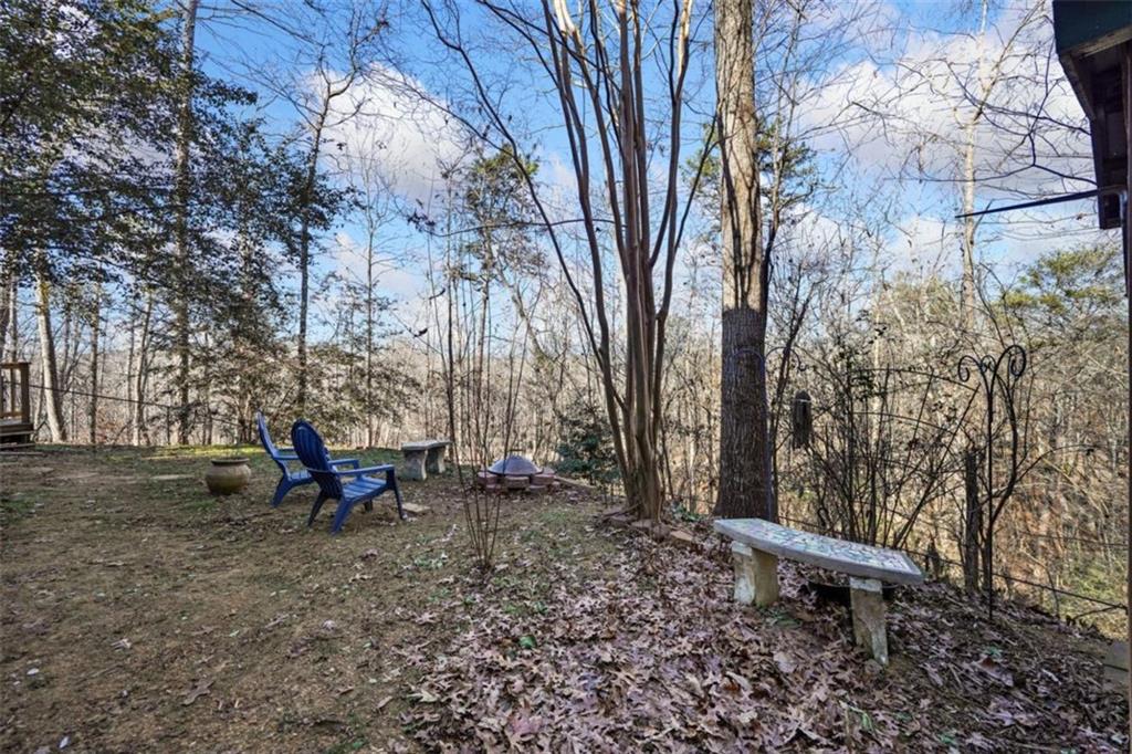 421 Cherokee Court Ellijay, GA 30540 - Photo 35 of 62 a view of a yard with a tree