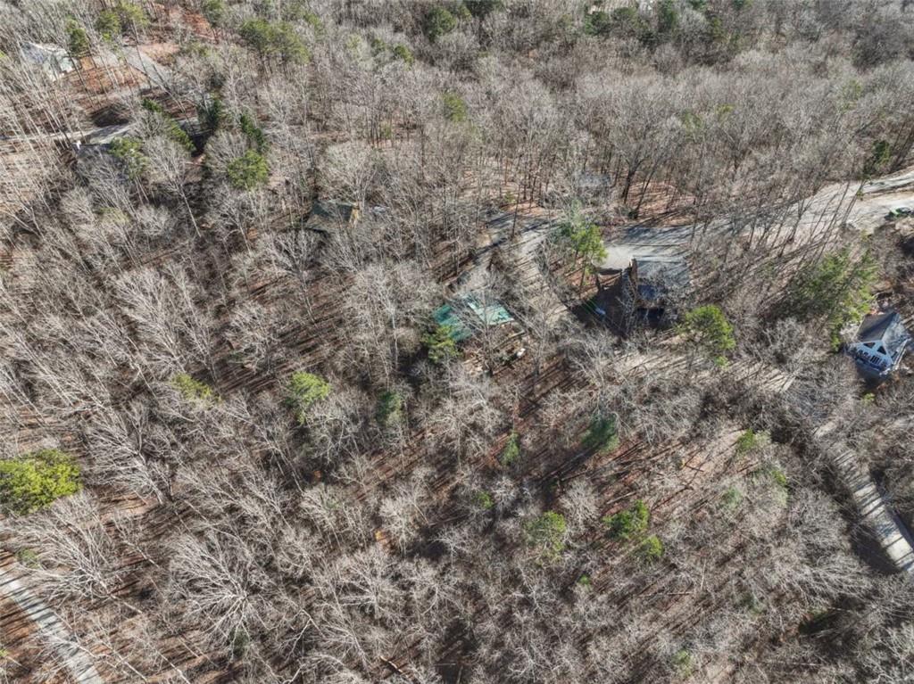 421 Cherokee Court Ellijay, GA 30540 - Photo 40 of 62