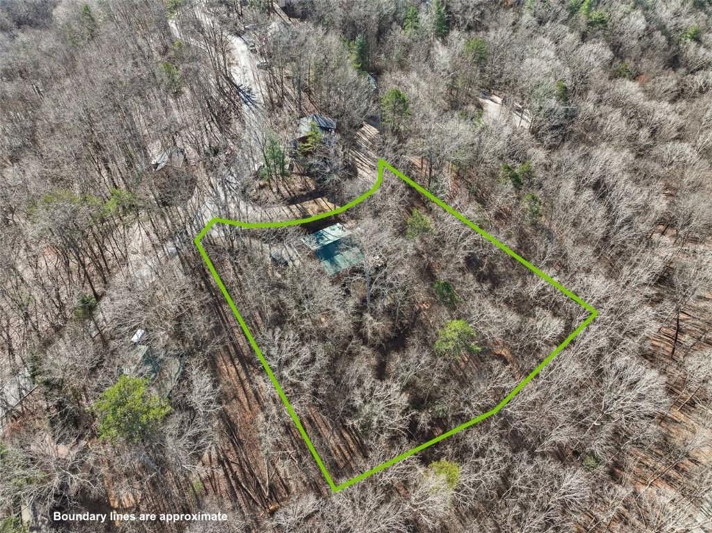 421 Cherokee Court Ellijay, GA 30540 - Photo 5 of 62