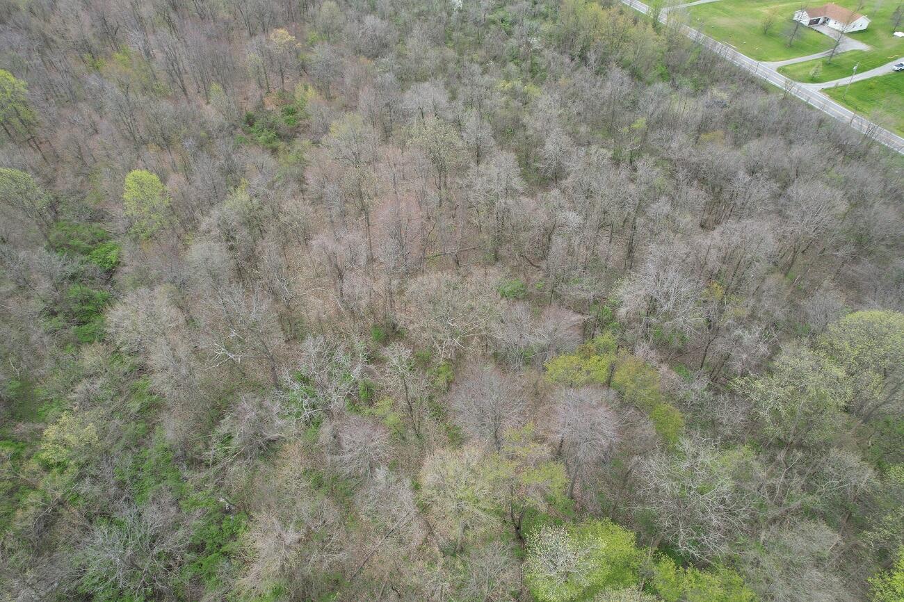 5 North County Road Zanesfield, OH 43360 - Photo 2 of 3