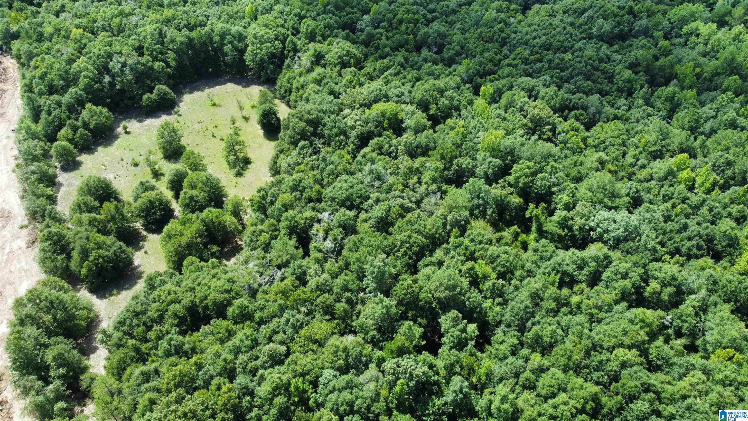 0 County Road 65 Abbeville, AL 36310 - Photo 9 of 24