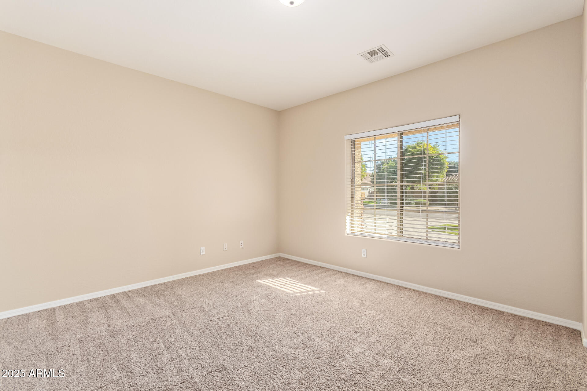 21942 East Rosa Road Queen Creek, AZ 85142 - Photo 17 of 27 29 - Rosa