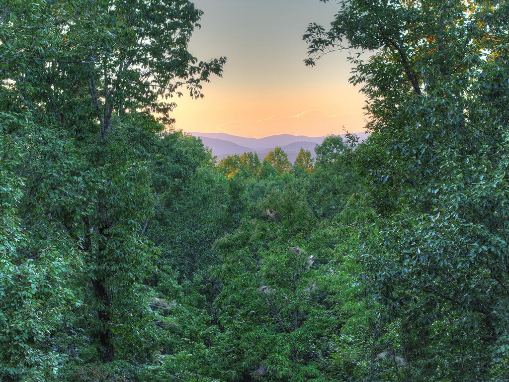 169 Walnut Mountain Road Ellijay, GA 30536 - Photo 54 of 77 Gallery Image 54