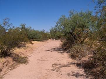 11380 West Massingale Road Tucson, AZ 85743 - Photo 3 of 4