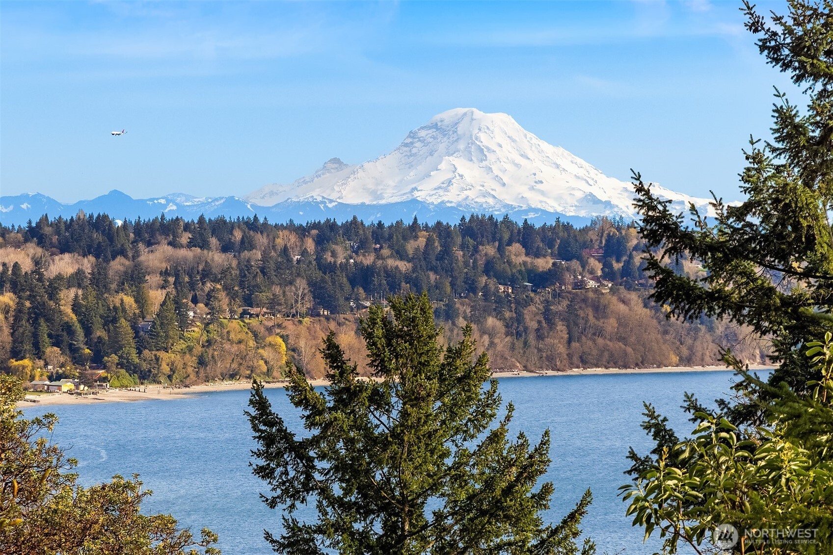 2861 Southwest 171st Street Burien, WA 98166 - Photo 5 of 39 a view of a tree in a yard
