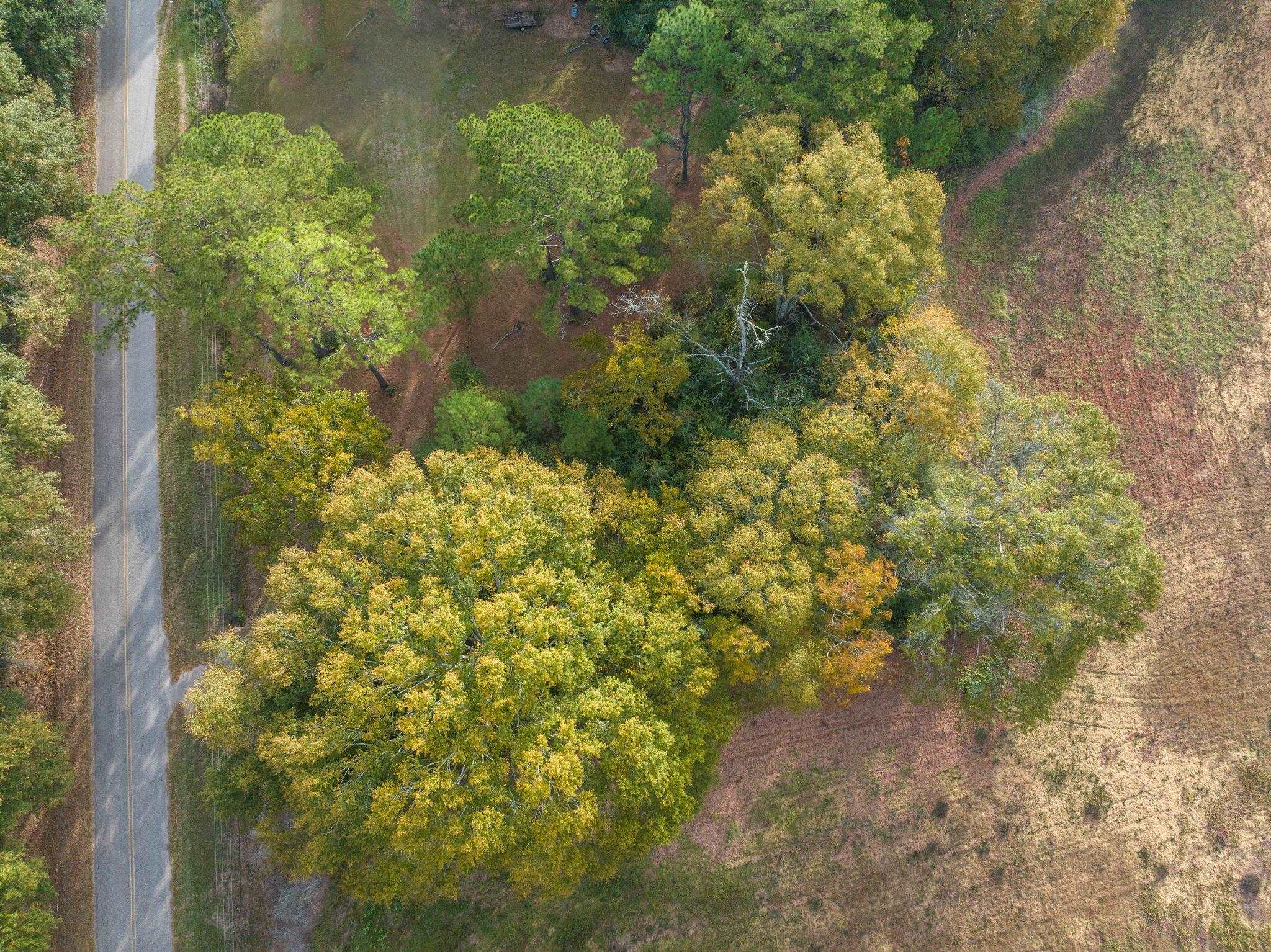 16200 Khola Stewart Road Bay Minette, AL 36507 - Photo 7 of 15