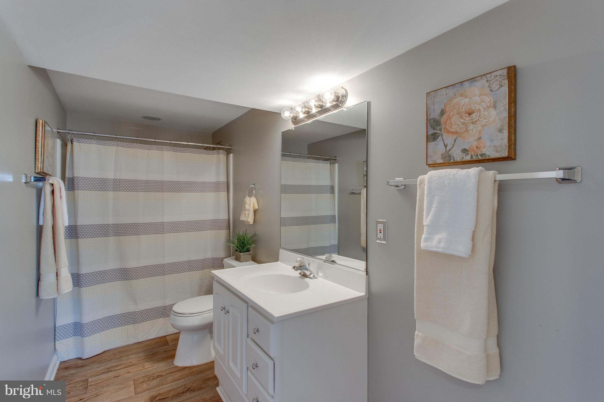 13230 Stable Brook Way Herndon, VA 20171 - Photo 42 of 47 and a full lower level bath!