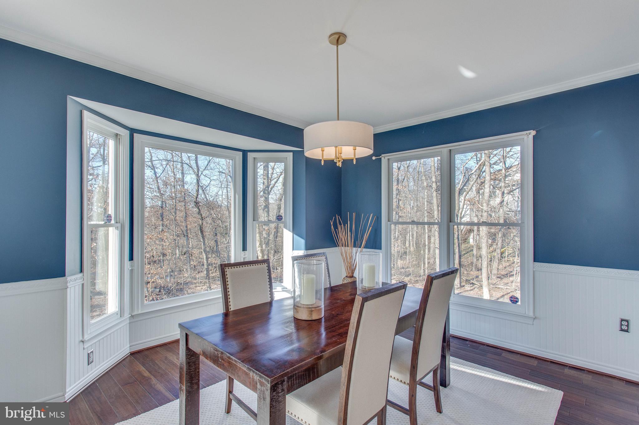 13230 Stable Brook Way Herndon, VA 20171 - Photo 7 of 47 With fantastic windows and views.
