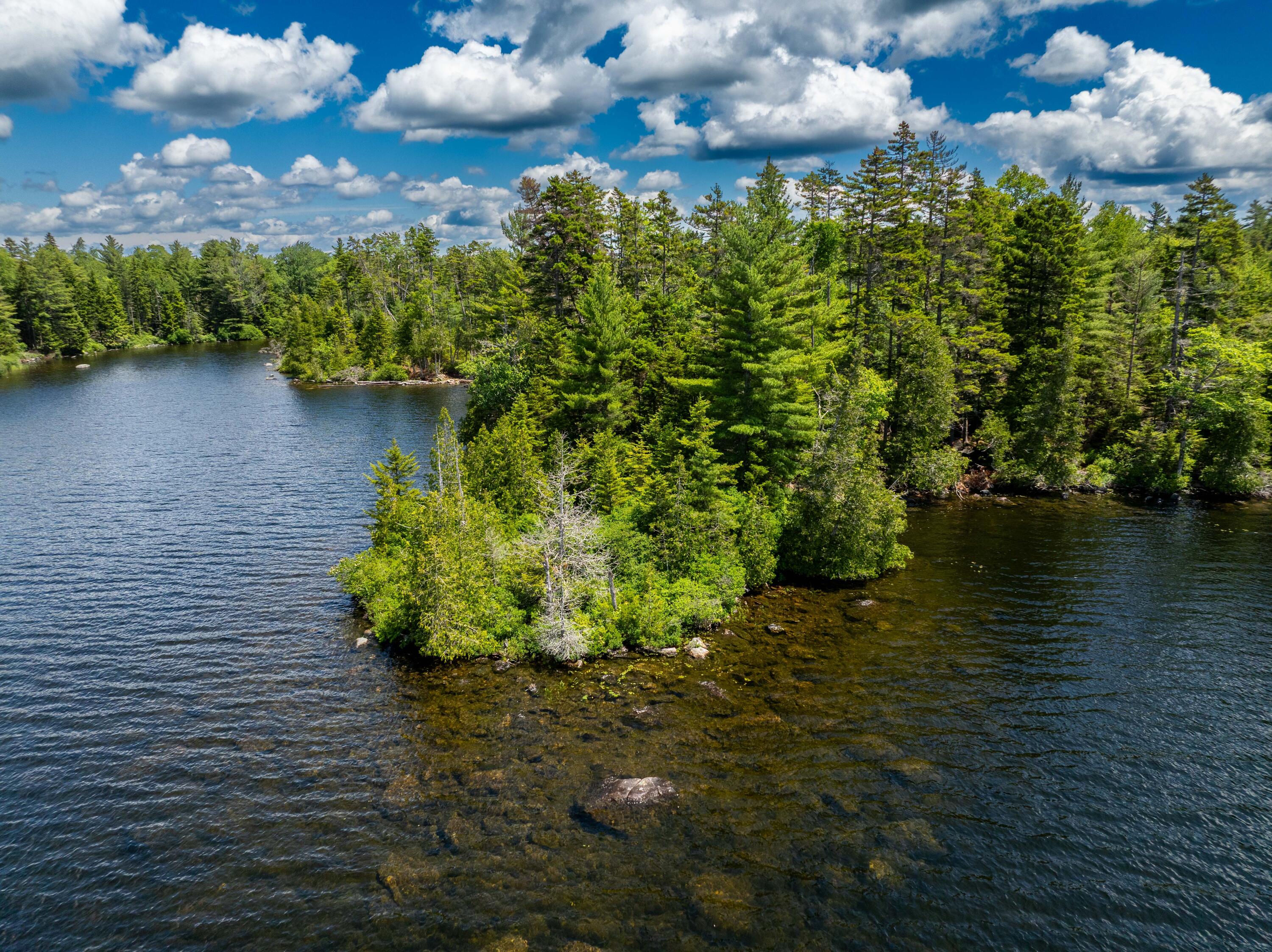 313 Birch Pt Road Cooper, ME 04657 - Photo 42 of 50 Lot H - Lot 049-15-8 Cathance Lake , Co