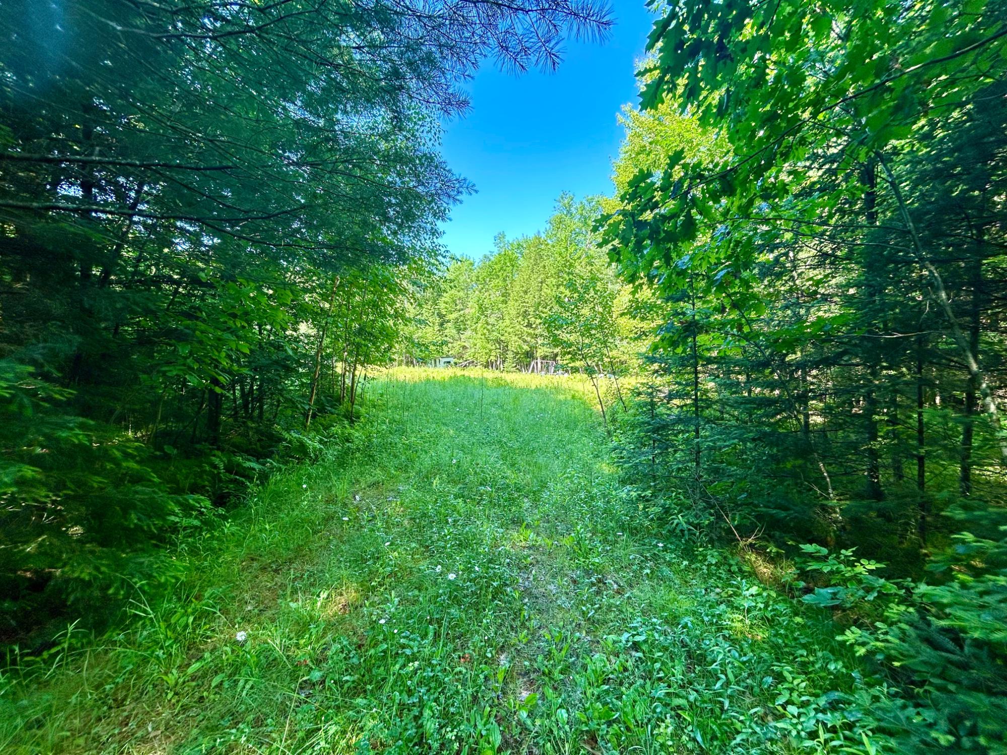 On Johnson Road, Unit 40 ACRES Crandon, WI 54520 - Photo 1 of 23 Gallery Image 1