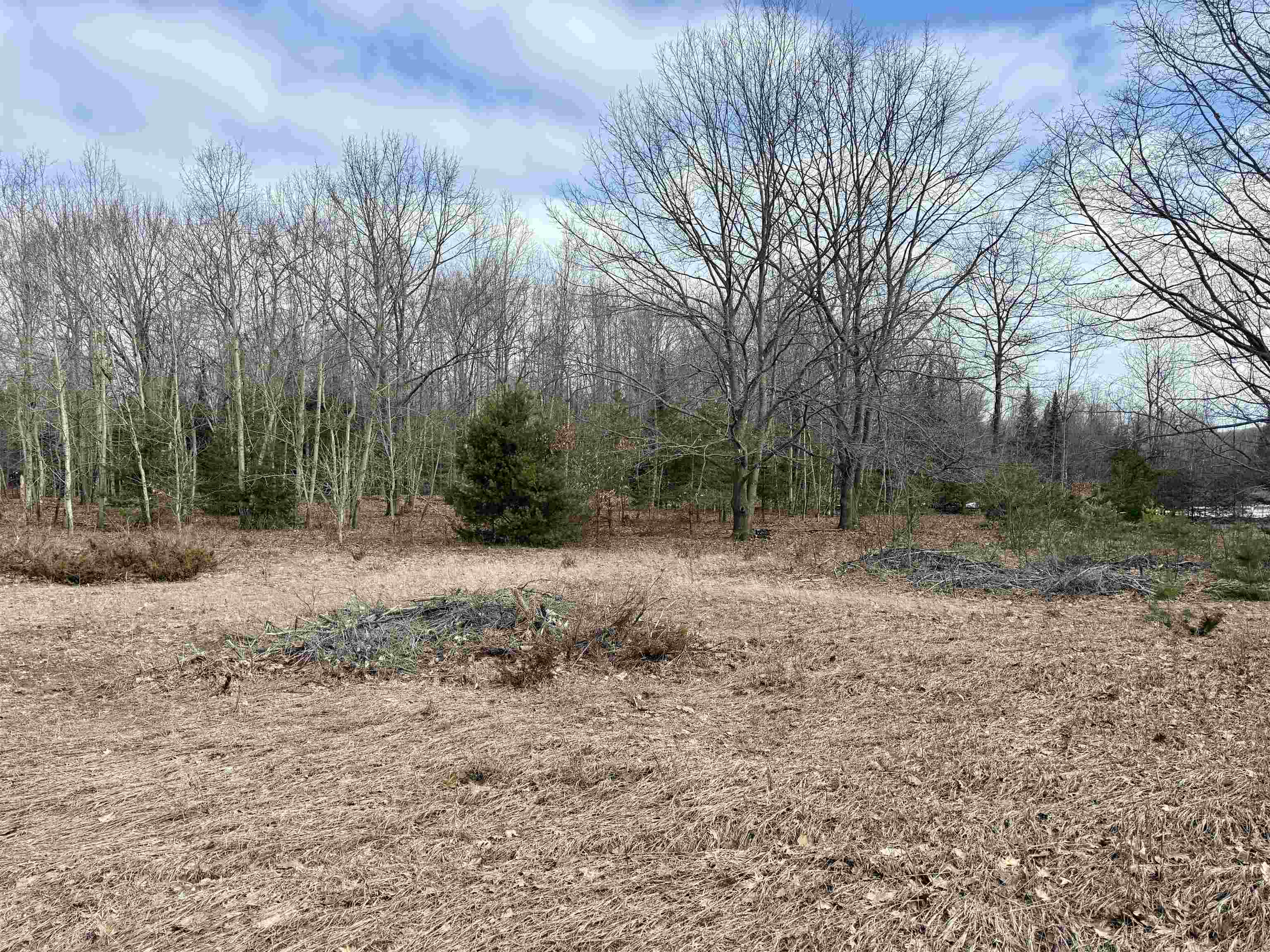0 East Sandy Lane Cedar, MI 49621 - Photo 14 of 20