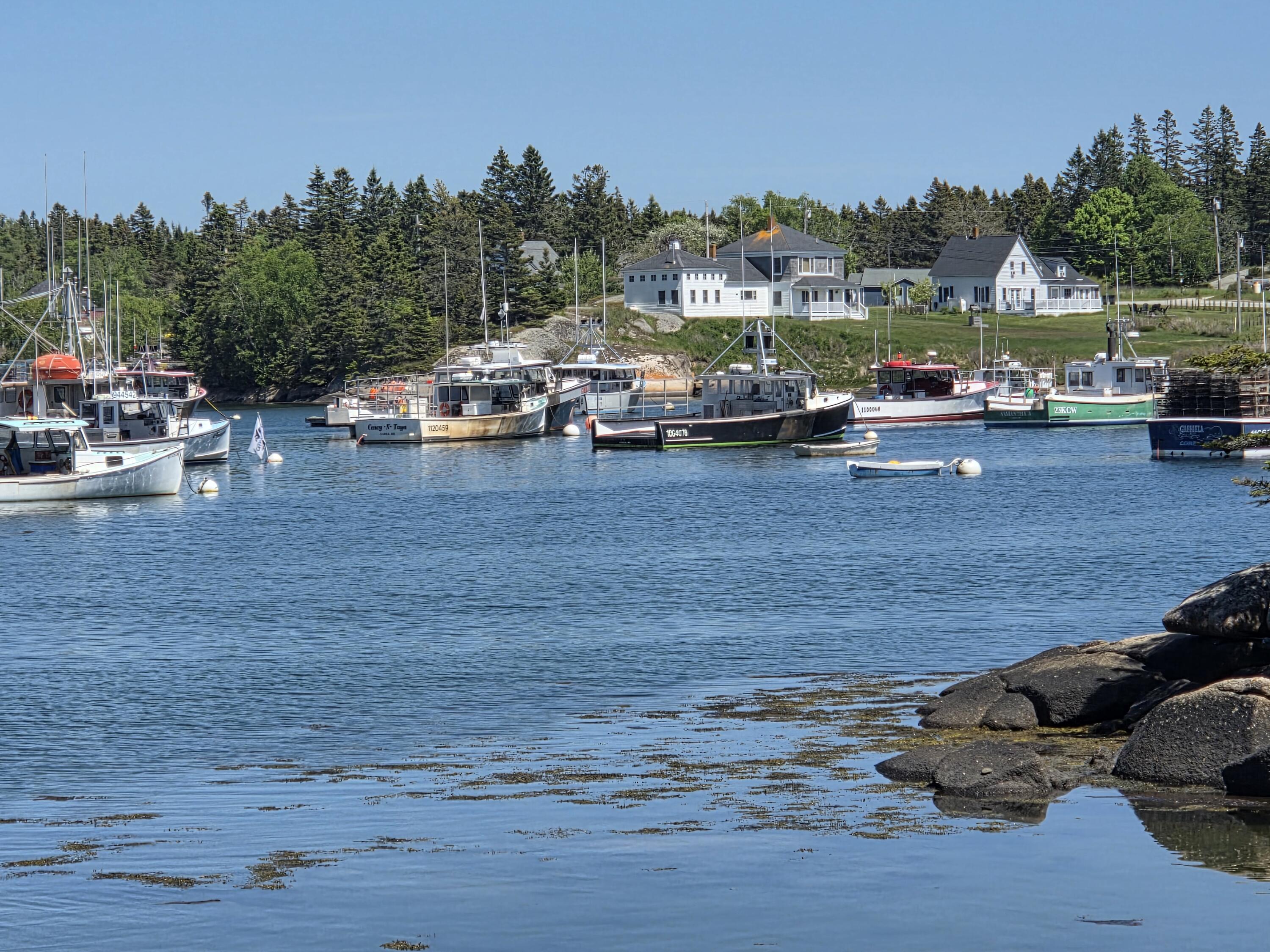 17 Cranberry Point Road Gouldsboro, ME 04624 - Photo 23 of 25 E69823E9-C97F-4817-9089-C0283089C2442026