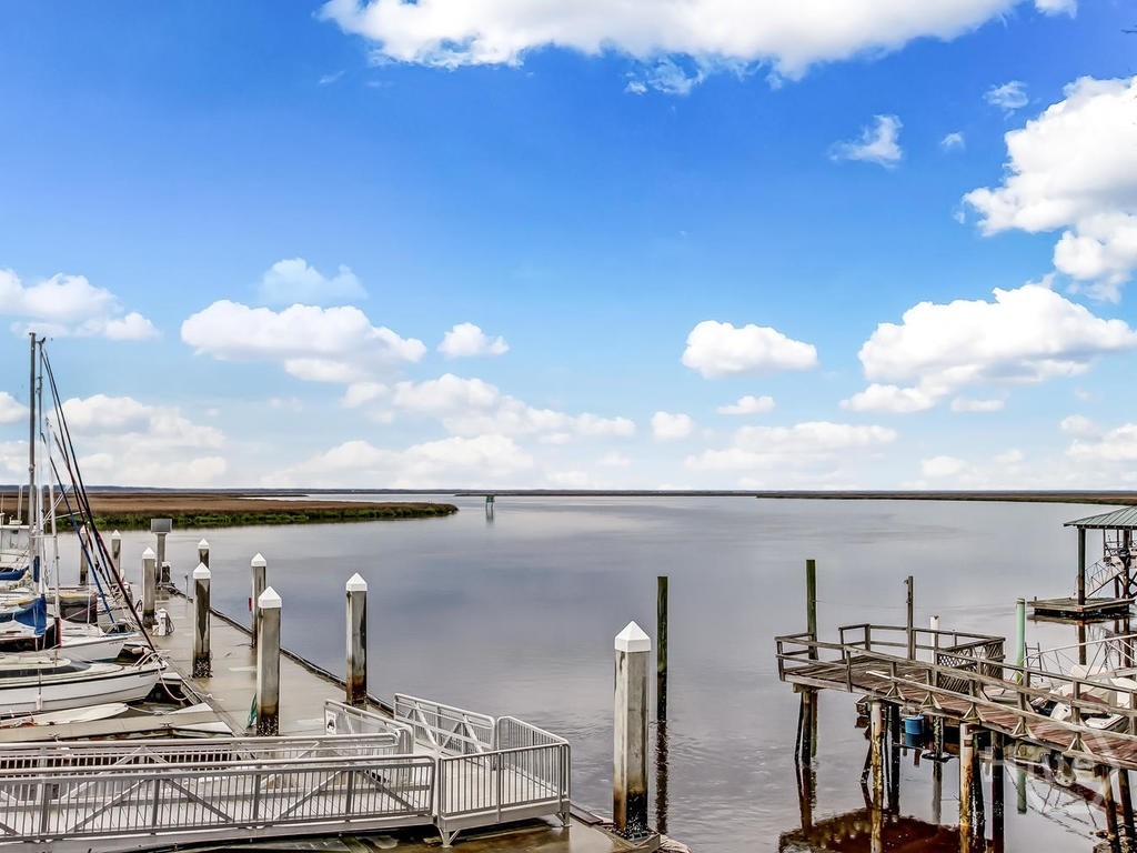 104 Rose Dhu Way Savannah, GA 31419 - Photo 49 of 53