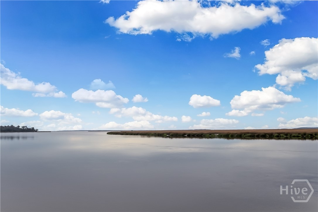 104 Rose Dhu Way Savannah, GA 31419 - Photo 50 of 53