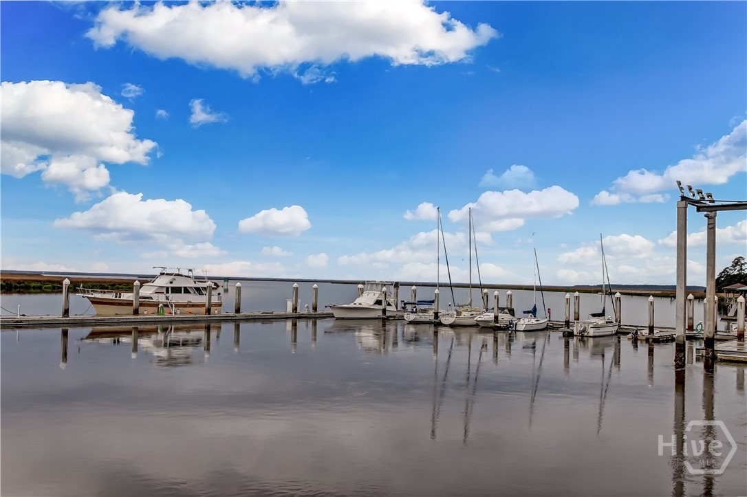 104 Rose Dhu Way Savannah, GA 31419 - Photo 51 of 53