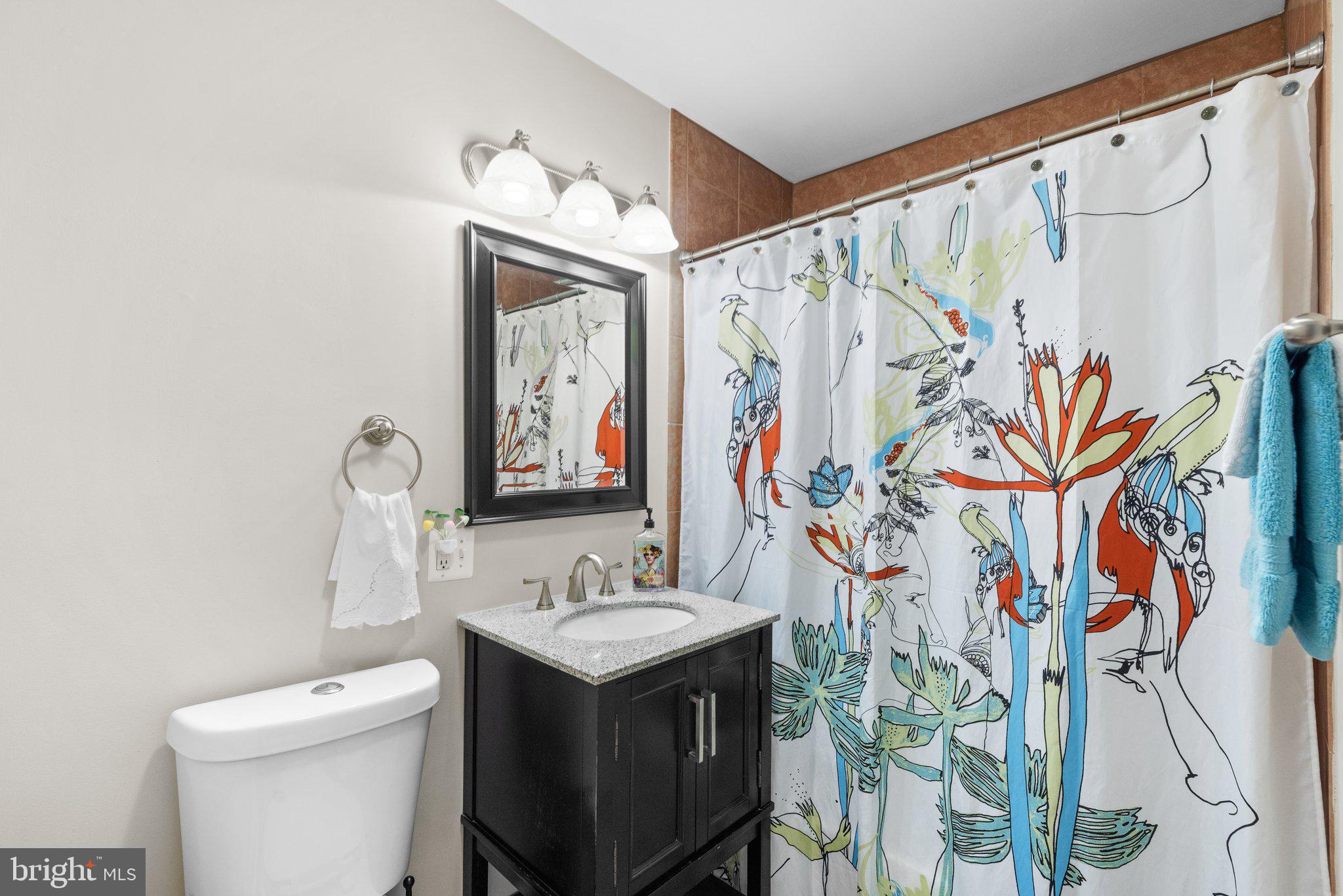 2118 Arcola Avenue Silver Spring, MD 20902 - Photo 16 of 34 Upgraded full hall bathroom on main level 2/2