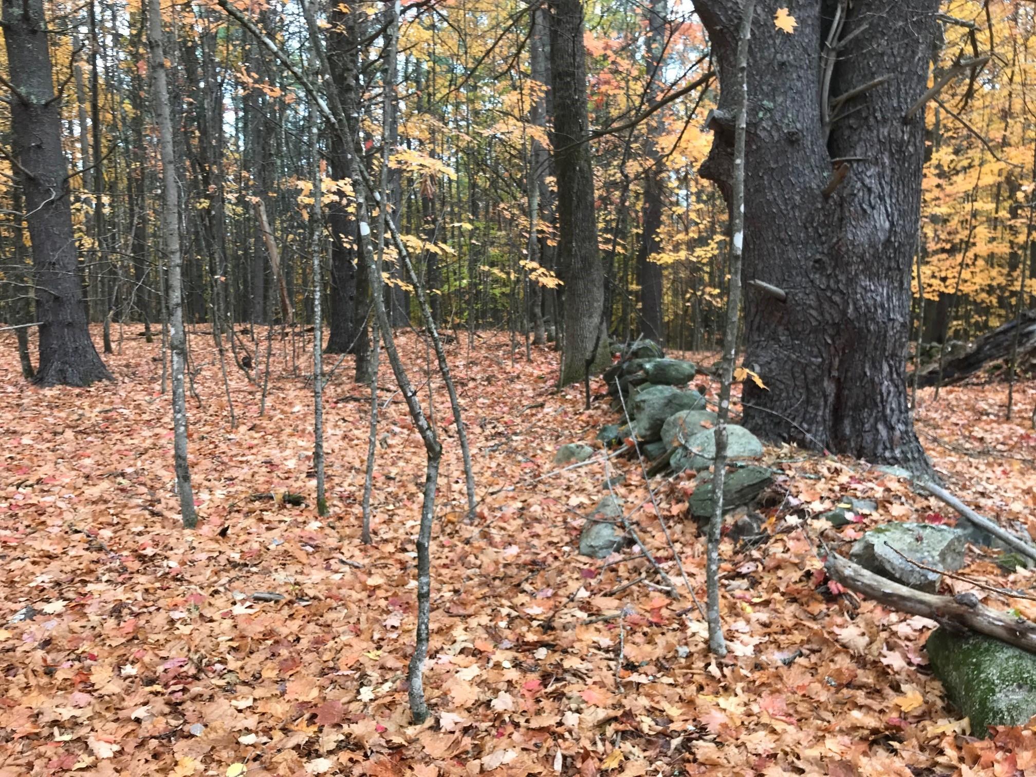 0 Spring Road West Newfield, ME 04095 - Photo 12 of 17 10
