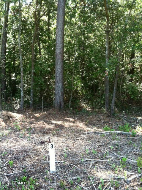 477 Peletier Loop Road Swansboro, NC 28584 - Photo 1 of 3 Tract 3 road frontage view from Peletier Loop Road