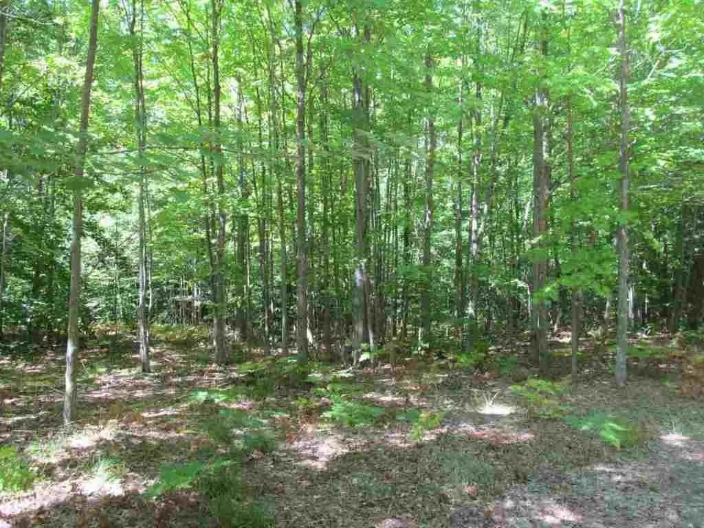 5560 North 3 Road Mesick, MI 49668 - Photo 8 of 14