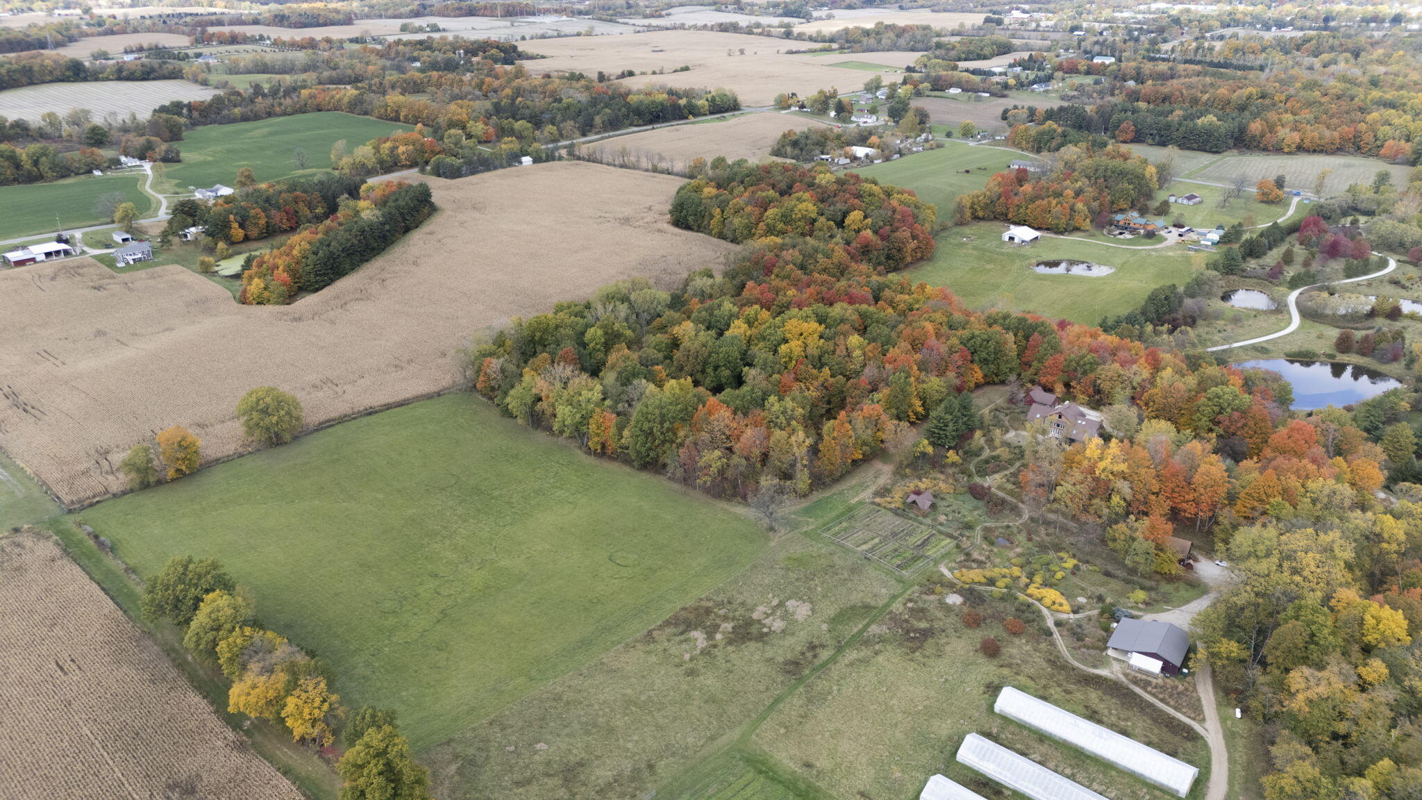 1630 Buffalo Road Galien, MI 49113 - Photo 40 of 44 40-web-or-mls-DJI_20251024132317_0309_D