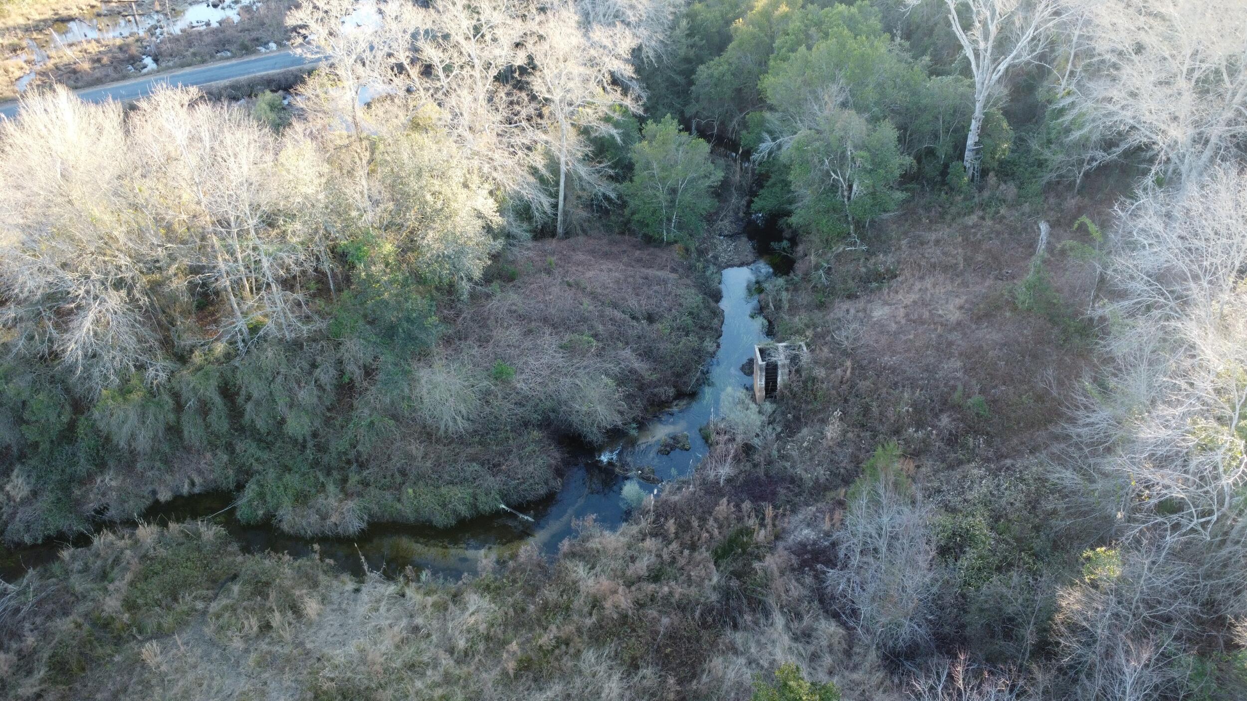 0 Millers Pond Road Salley, SC 29137 - Photo 4 of 28