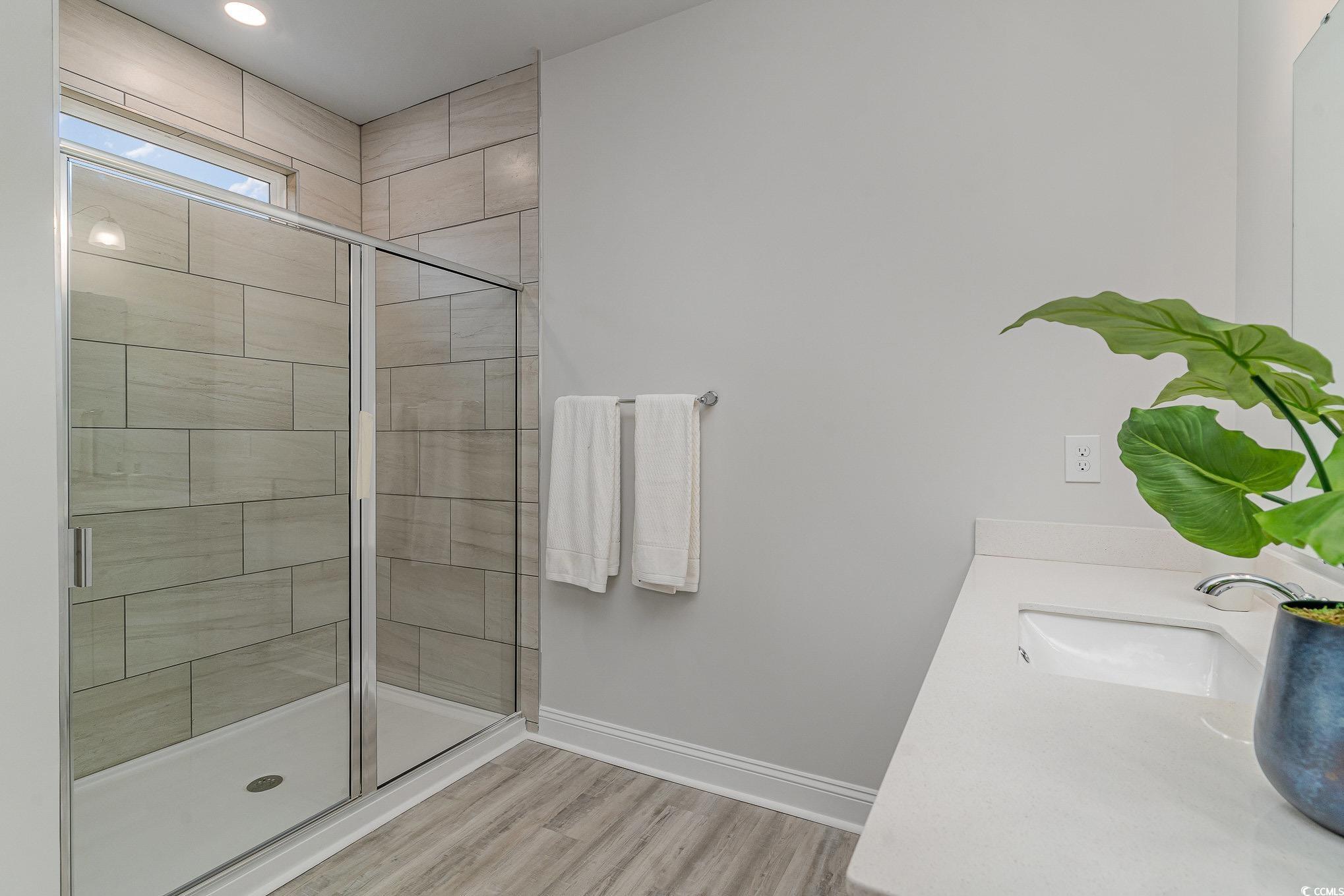 255 Konik Street Conway, SC 29526 - Photo 16 of 27